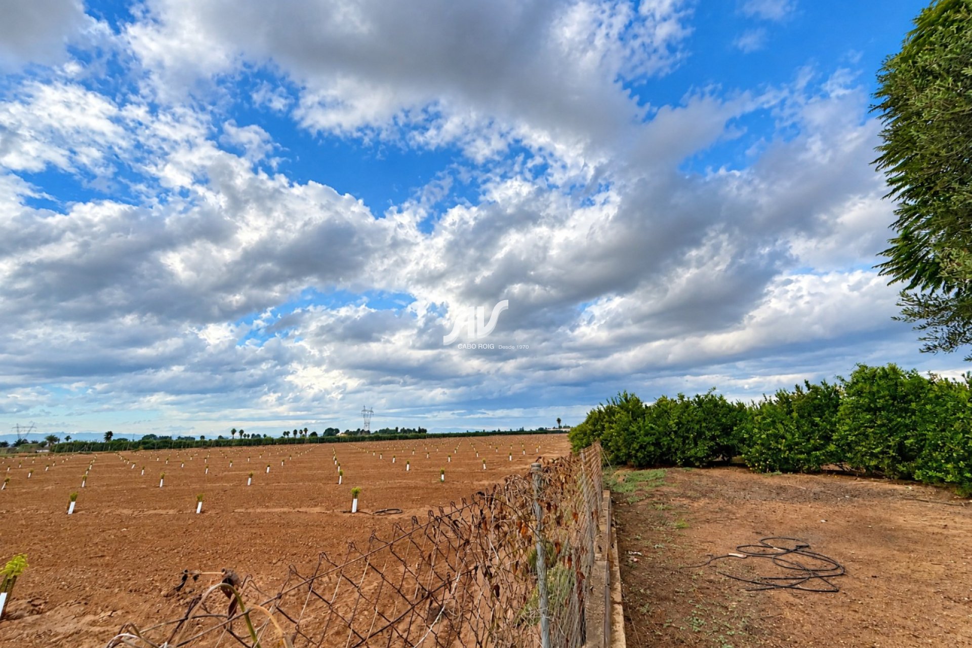 Reventa - Finca - Los Montesinos