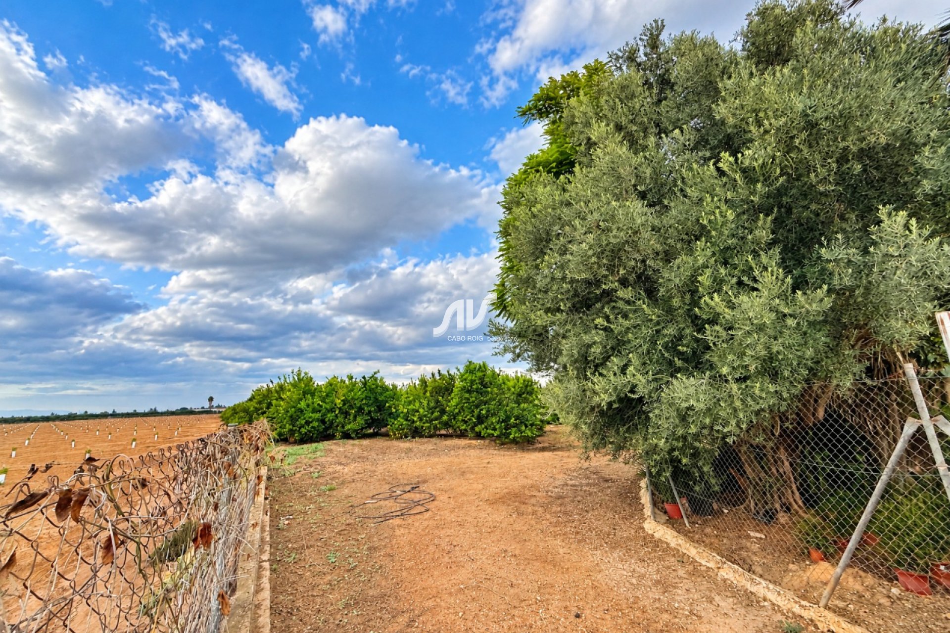 Reventa - Finca - Los Montesinos