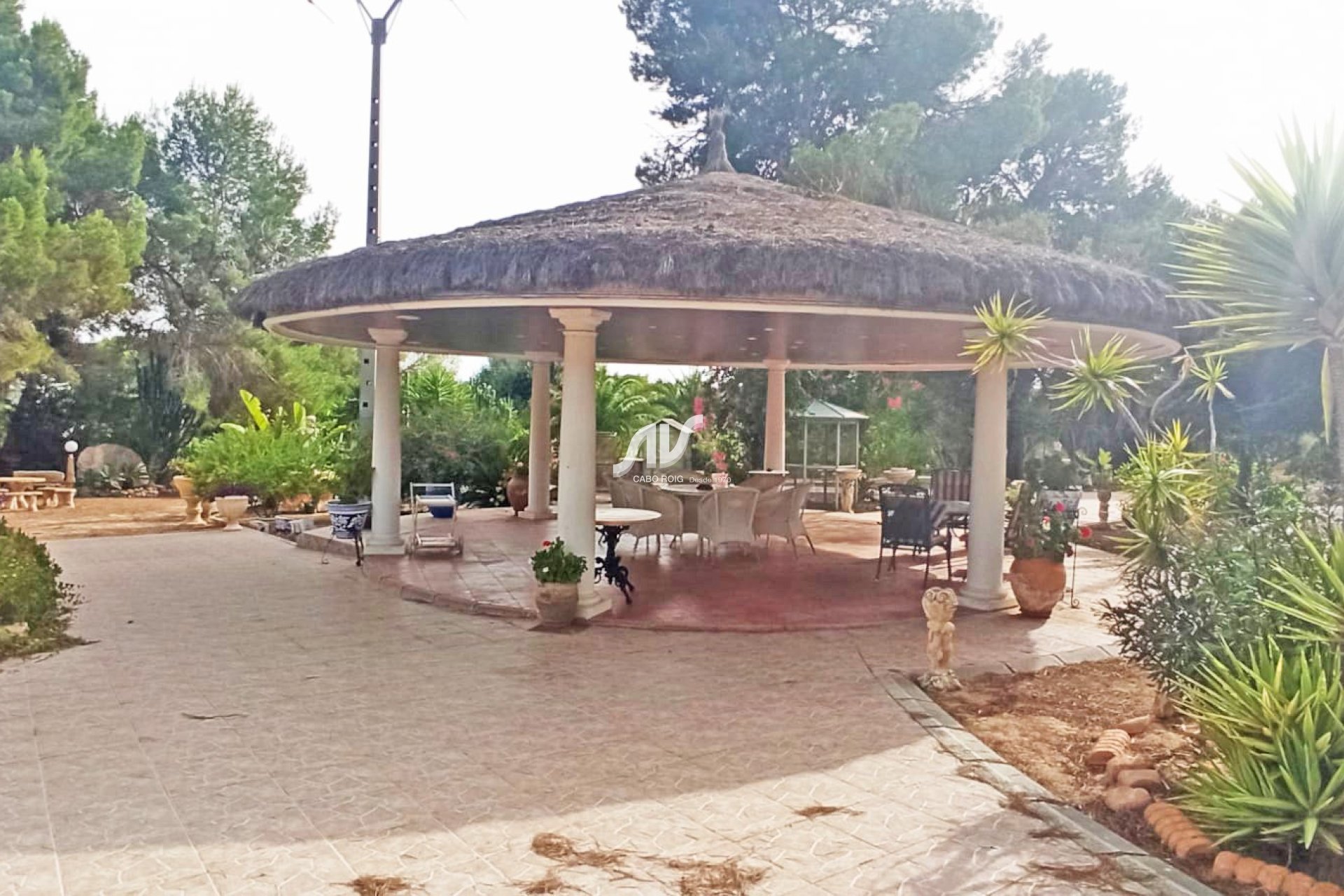 Reventa - Finca - San Miguel de Salinas - Las Colinas Golf