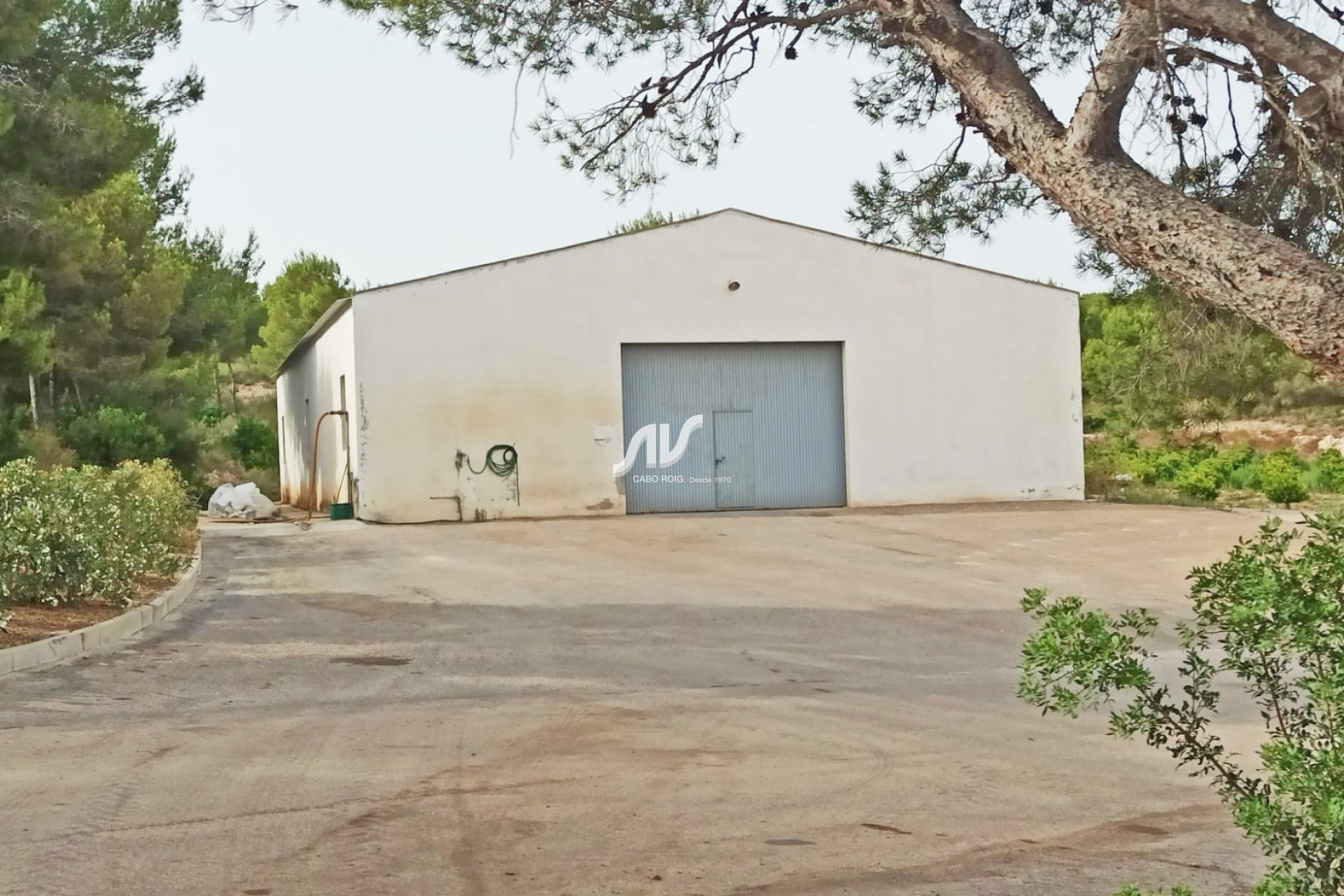 Reventa - Finca - San Miguel de Salinas - Las Colinas Golf