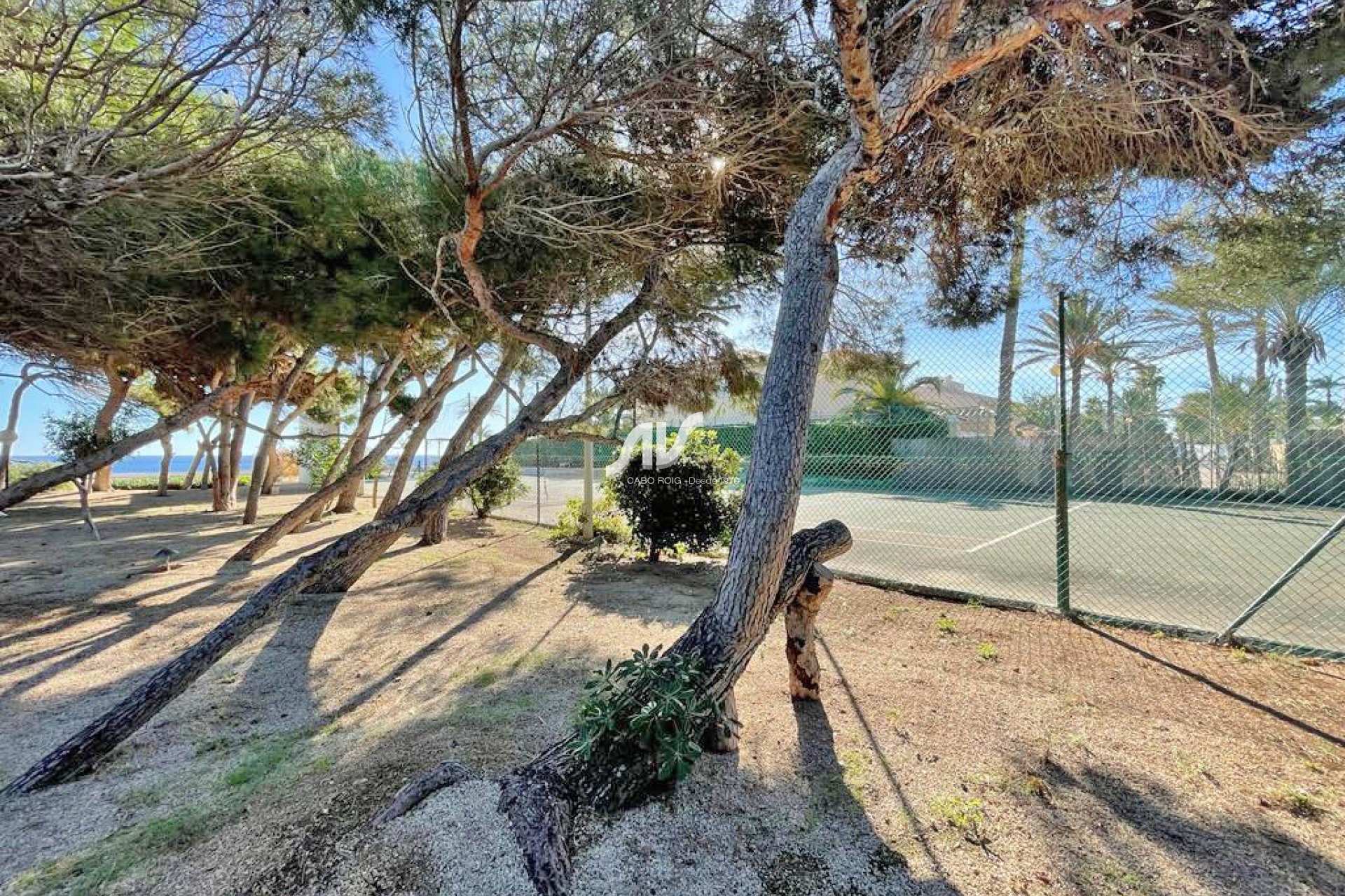Reventa - Parcela - Orihuela Costa - Cabo Roig