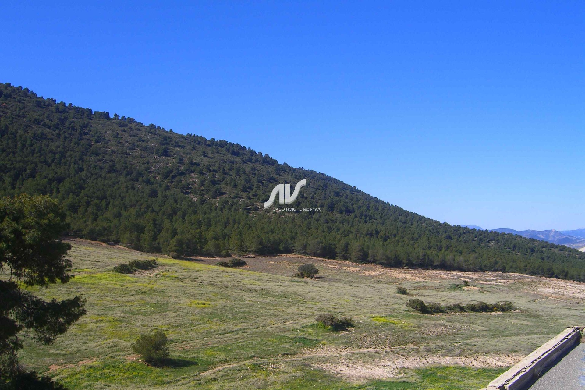 Til Salgs - Finca - Lorca - La Paca - Zarzadilla