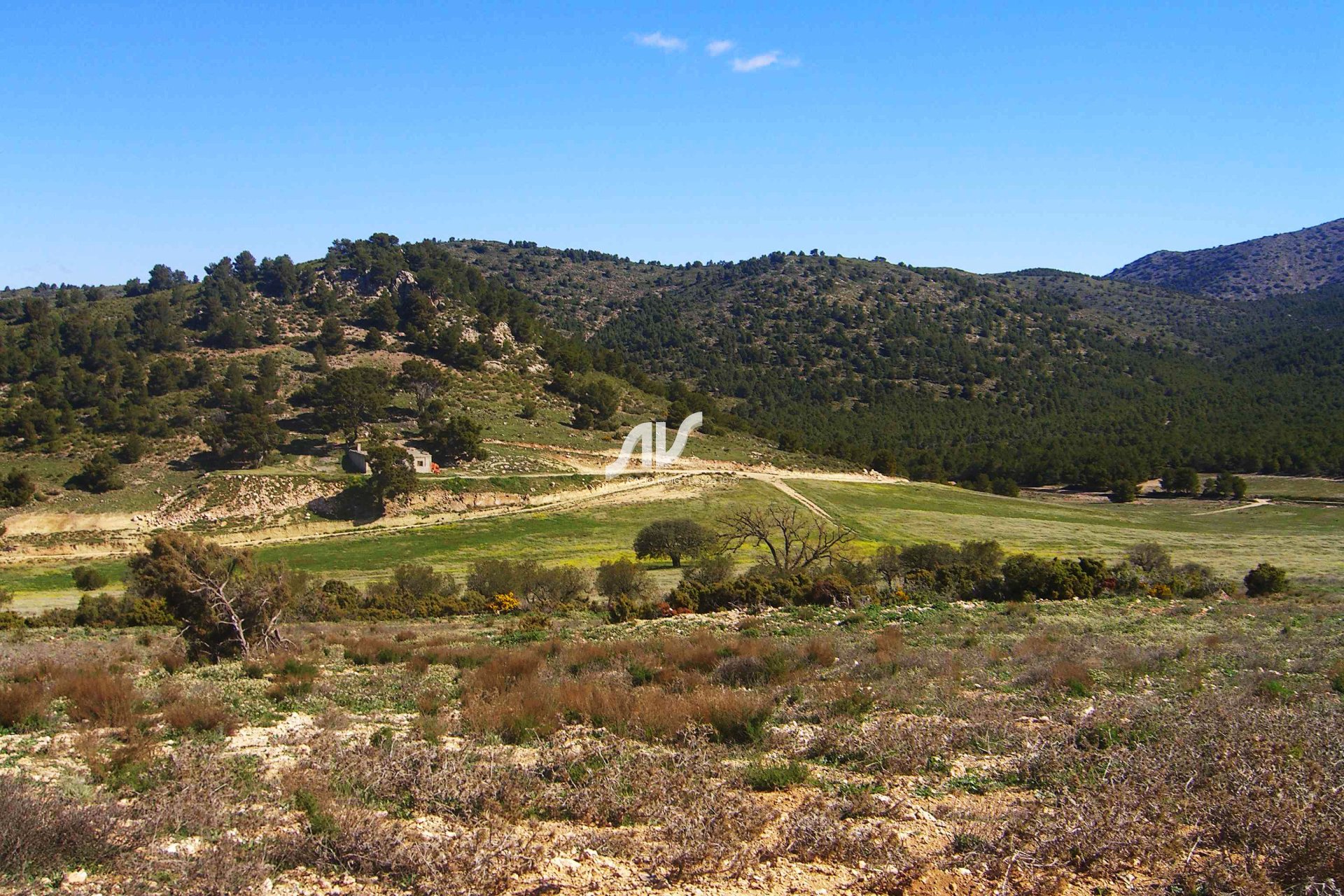 Til Salgs - Finca - Lorca - La Paca - Zarzadilla