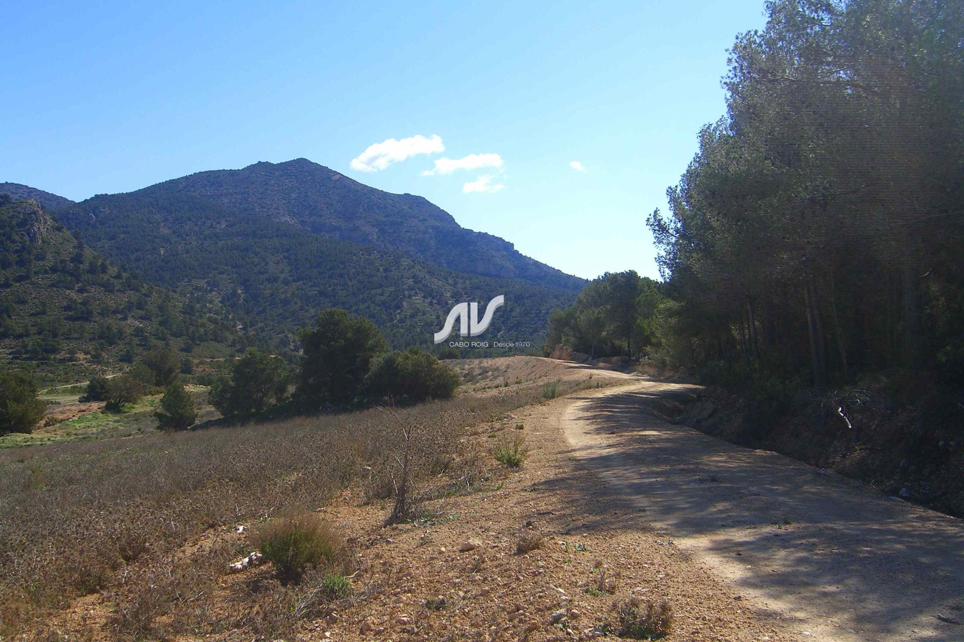 Til Salgs - Finca - Lorca - La Paca - Zarzadilla