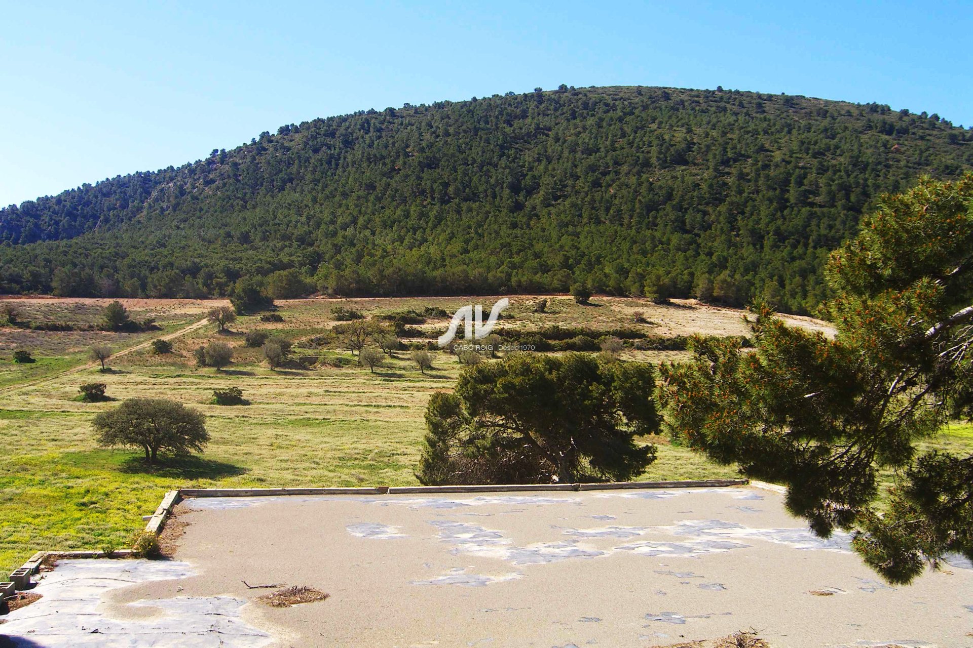 Til Salgs - Finca - Lorca - La Paca - Zarzadilla