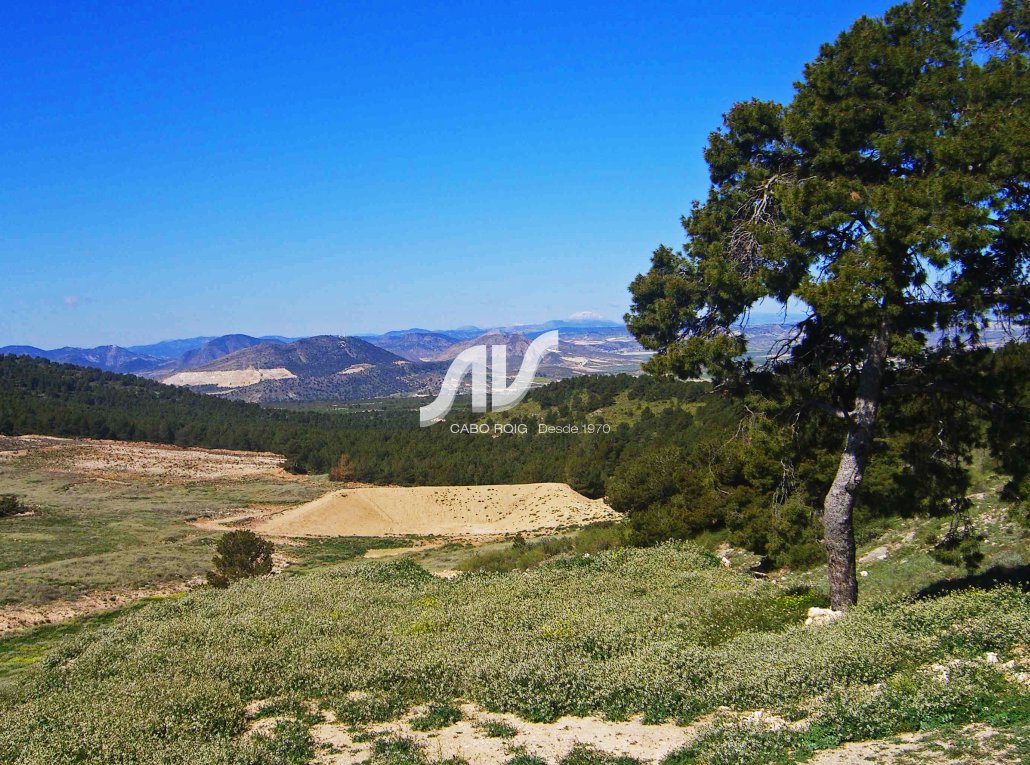 Til Salgs - Finca - Lorca - La Paca - Zarzadilla