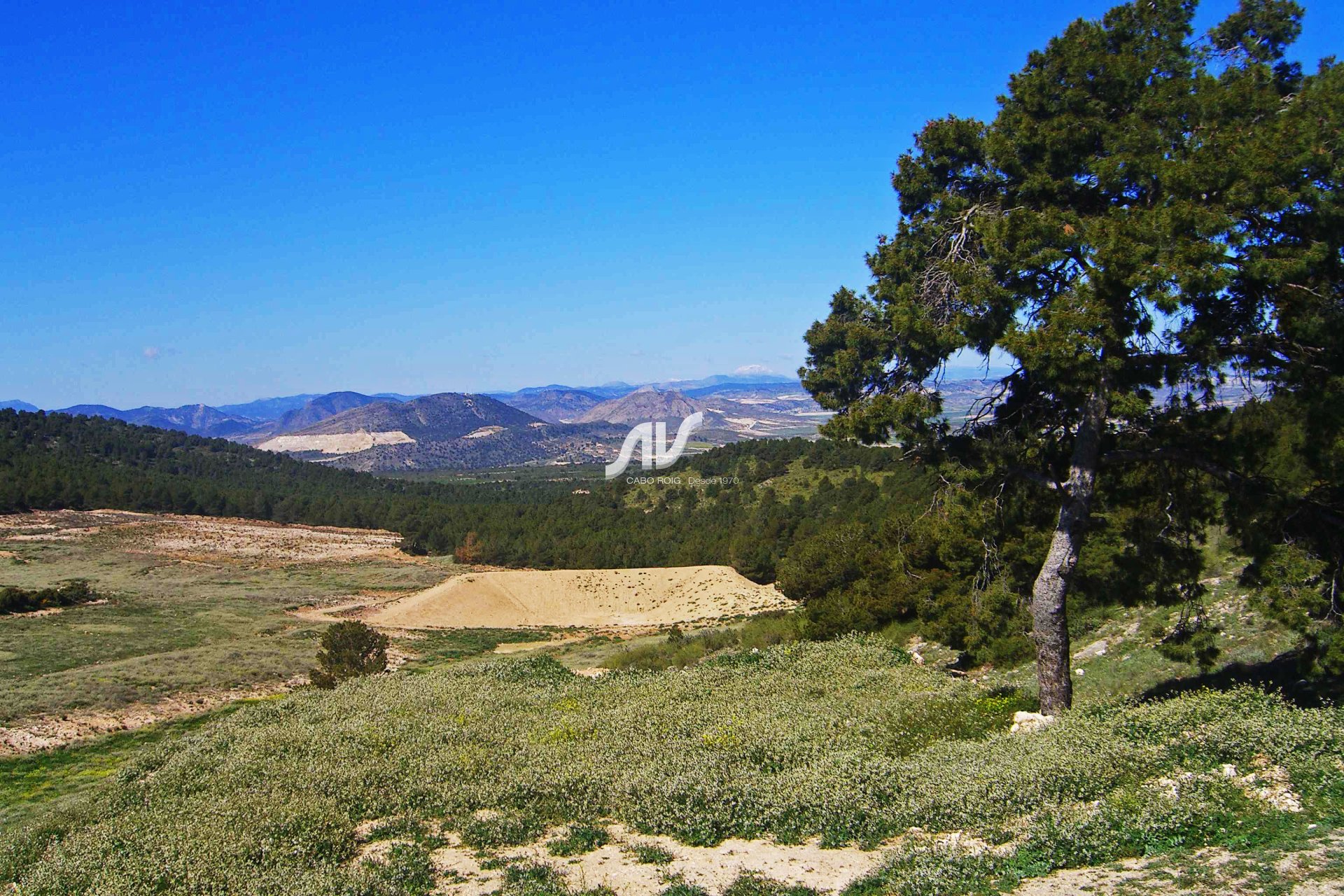 Til Salgs - Finca - Lorca - La Paca - Zarzadilla