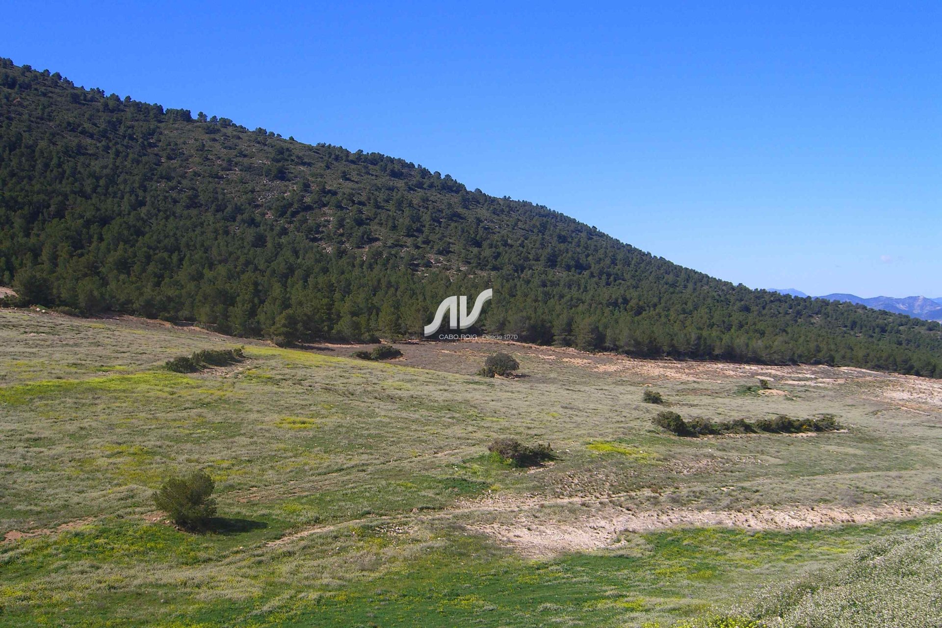 Til Salgs - Finca - Lorca - La Paca - Zarzadilla