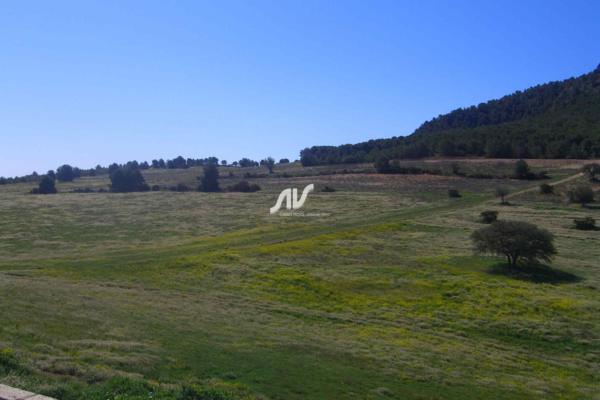 Til Salgs - Finca - Lorca - La Paca - Zarzadilla