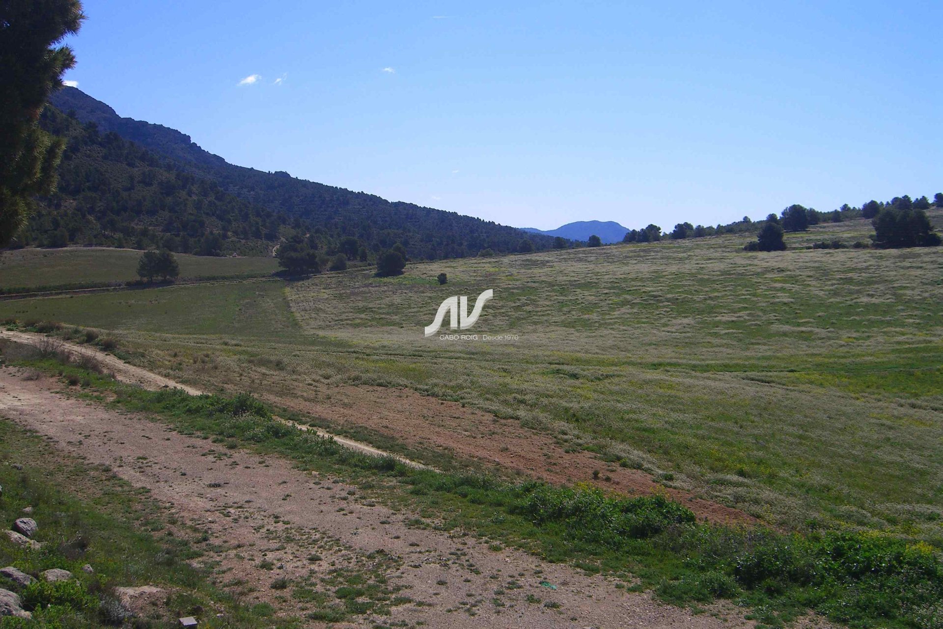 Til Salgs - Finca - Lorca - La Paca - Zarzadilla