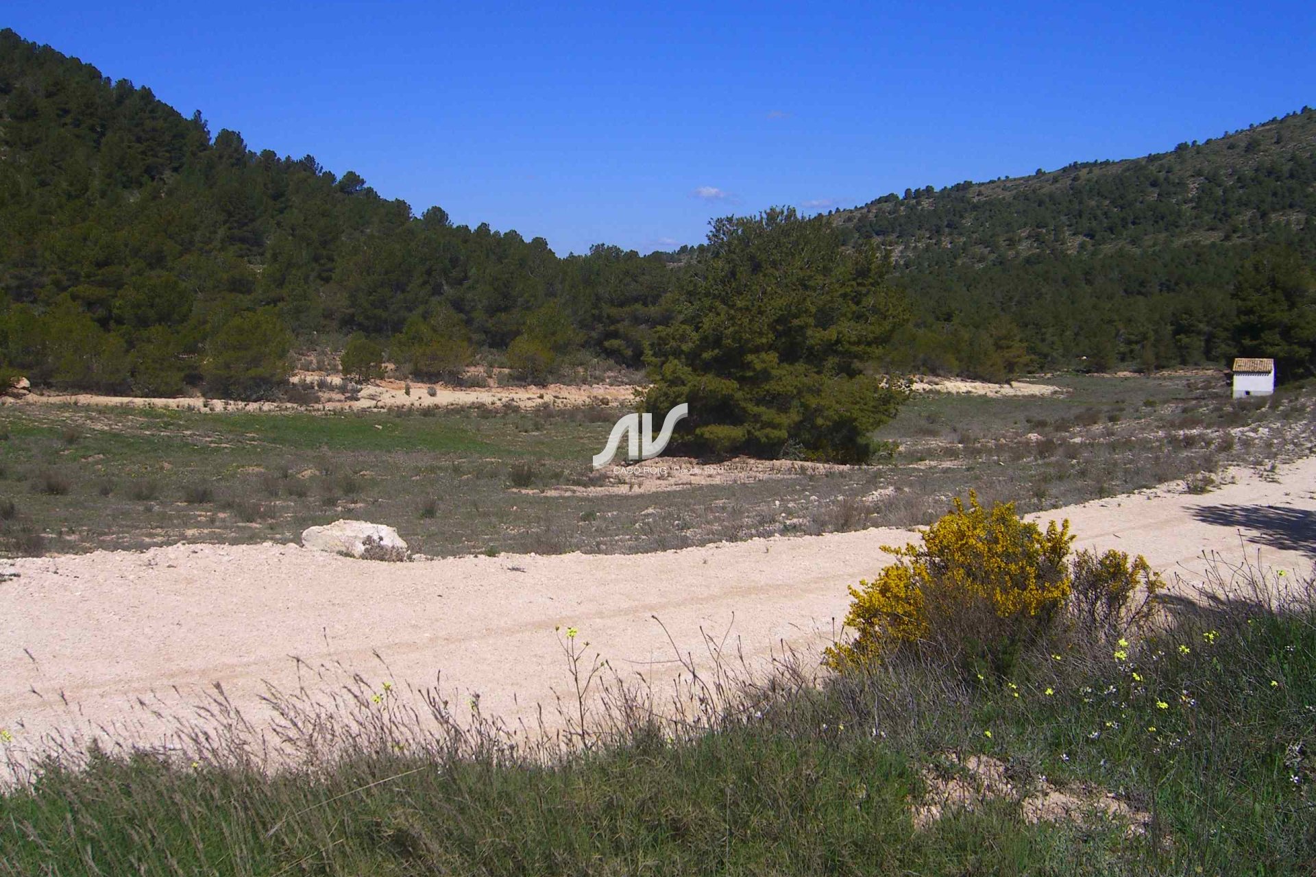 Til Salgs - Finca - Lorca - La Paca - Zarzadilla