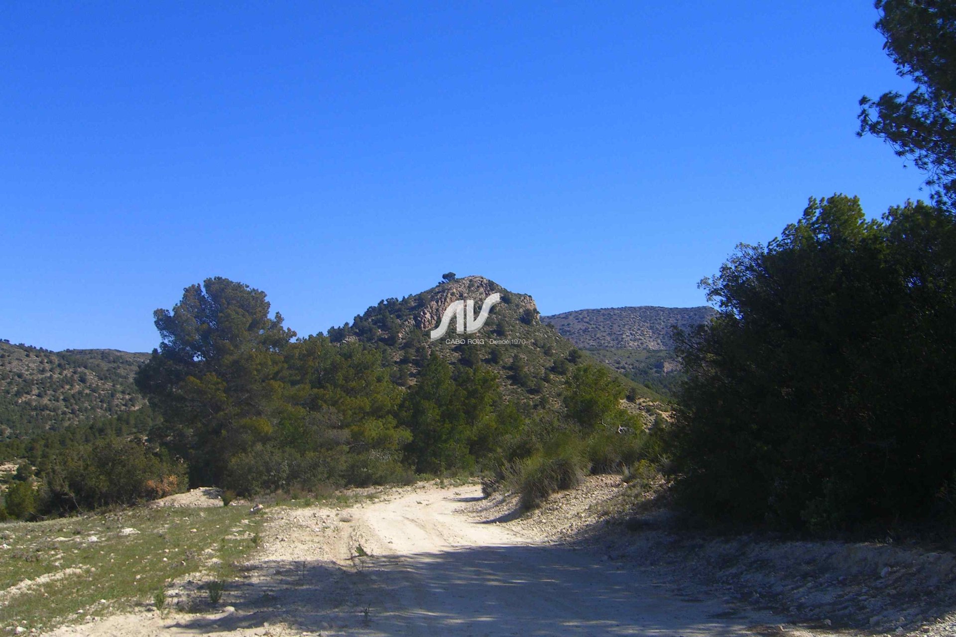 Til Salgs - Finca - Lorca - La Paca - Zarzadilla