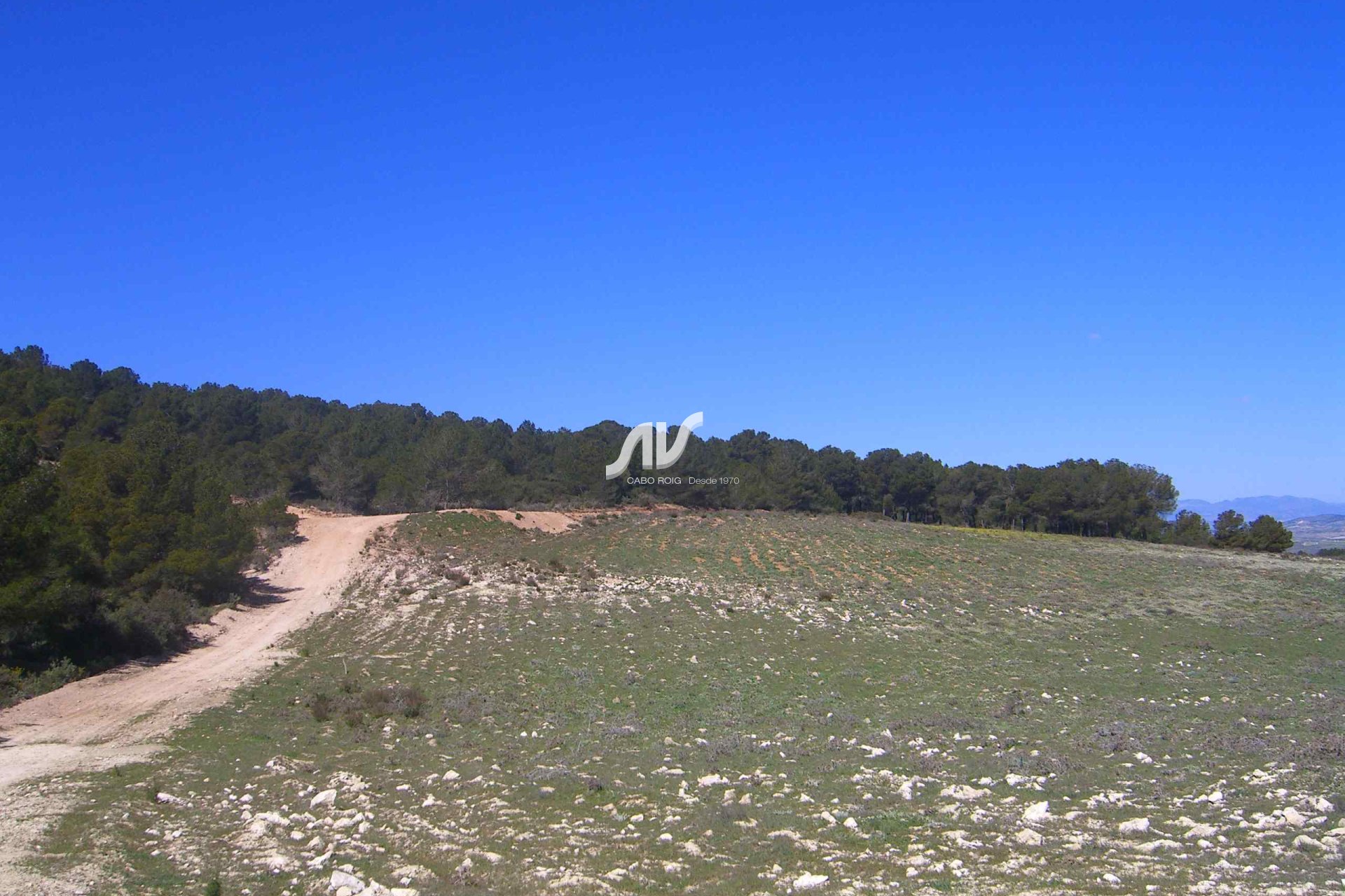 Til Salgs - Finca - Lorca - La Paca - Zarzadilla