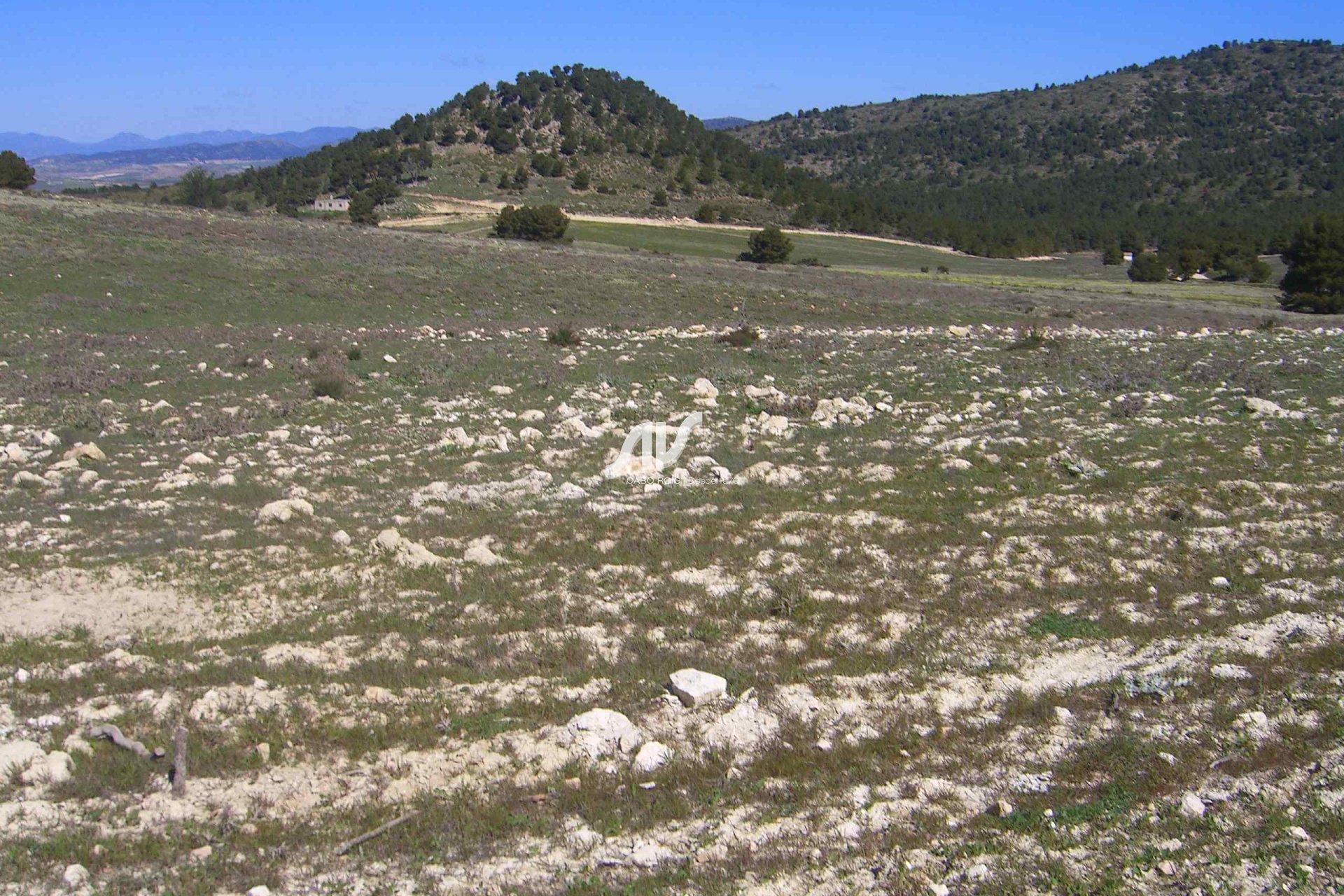 Til Salgs - Finca - Lorca - La Paca - Zarzadilla