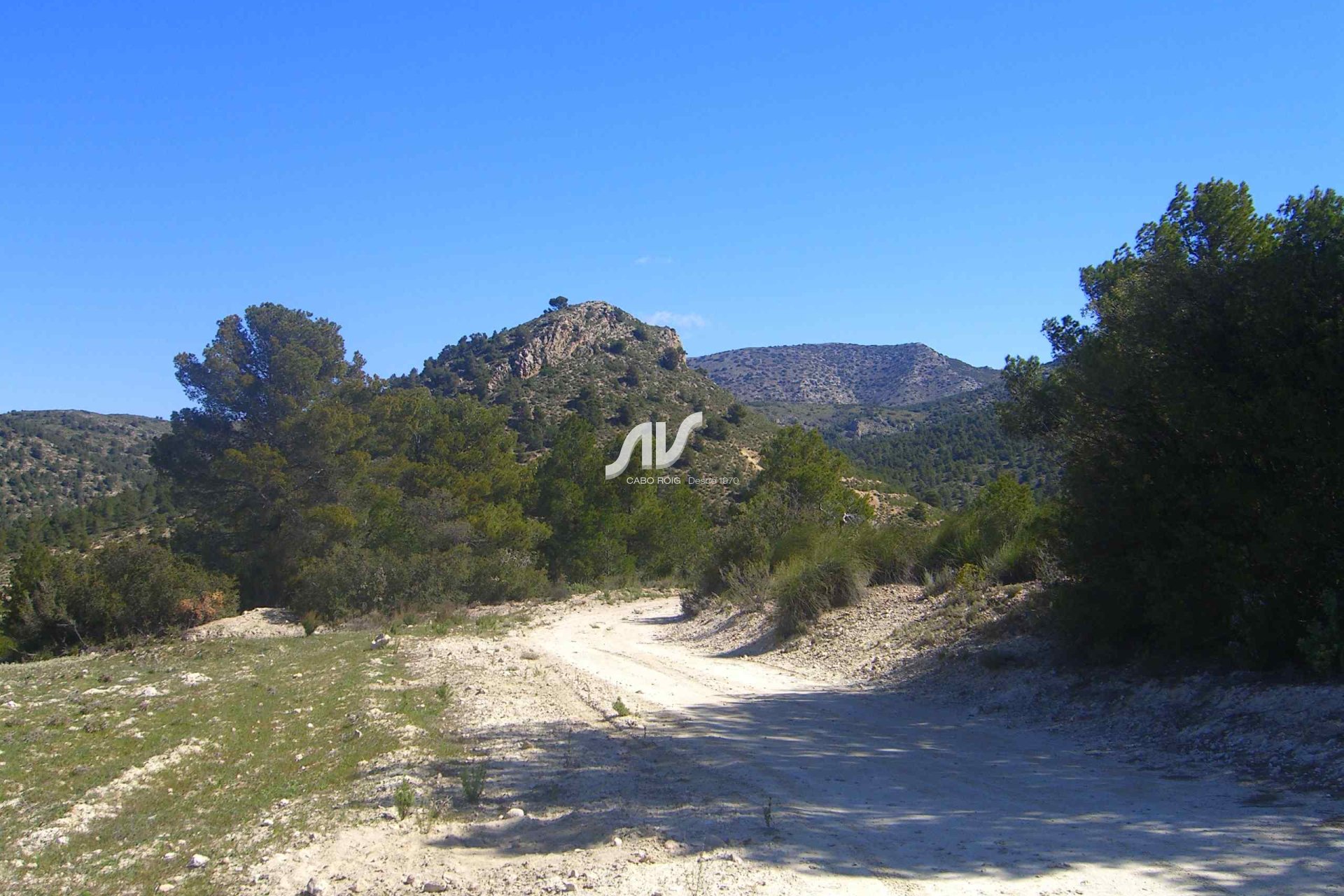 Til Salgs - Finca - Lorca - La Paca - Zarzadilla