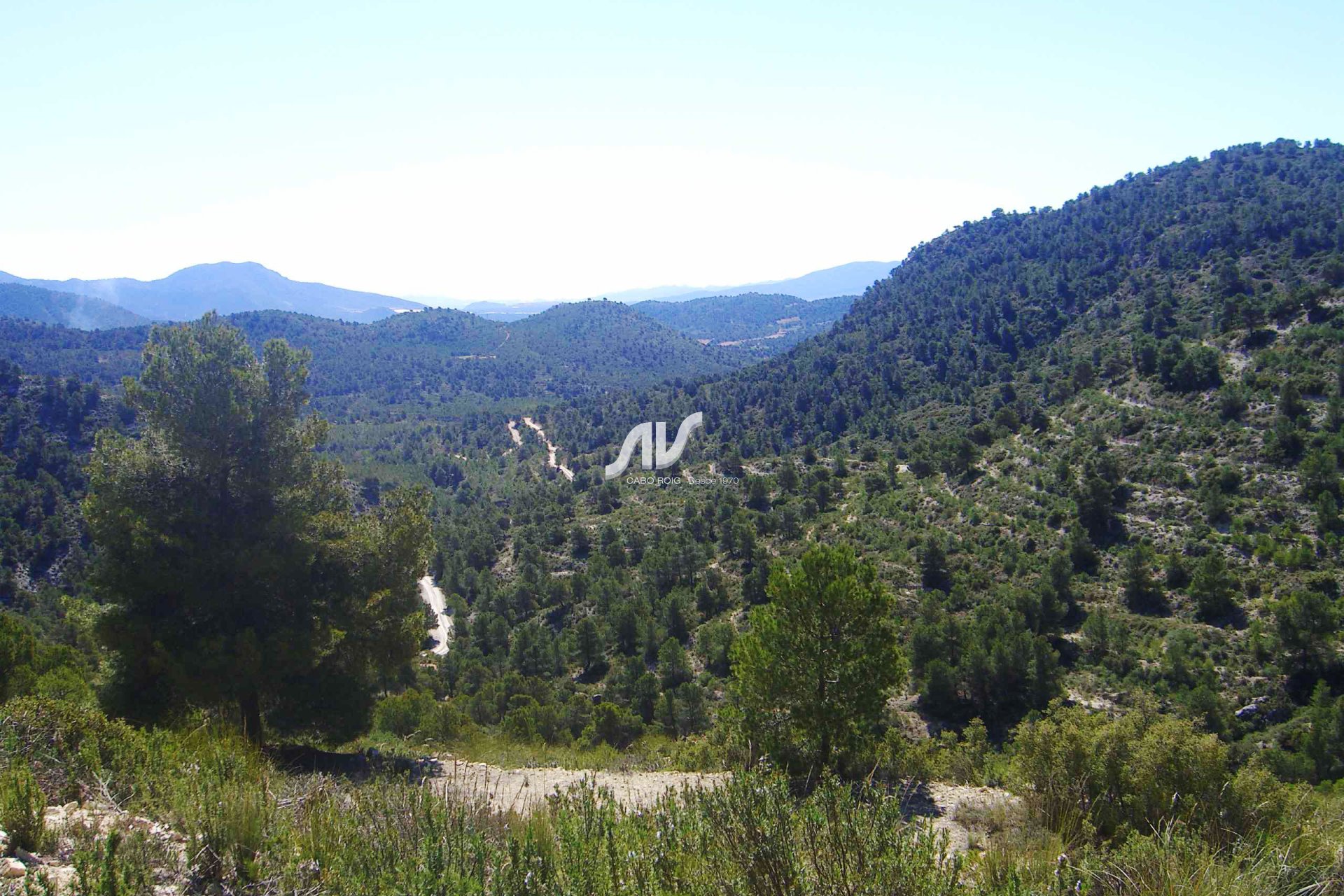 Til Salgs - Finca - Lorca - La Paca - Zarzadilla