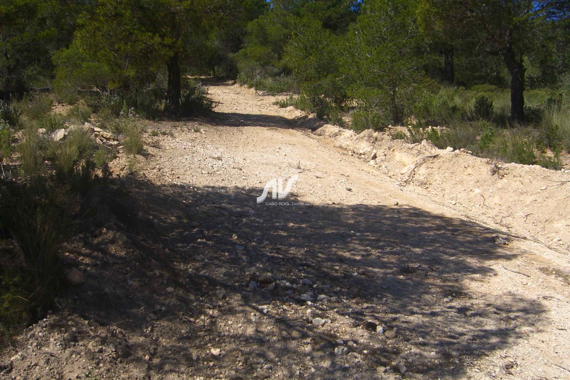 Til Salgs - Finca - Lorca - La Paca - Zarzadilla