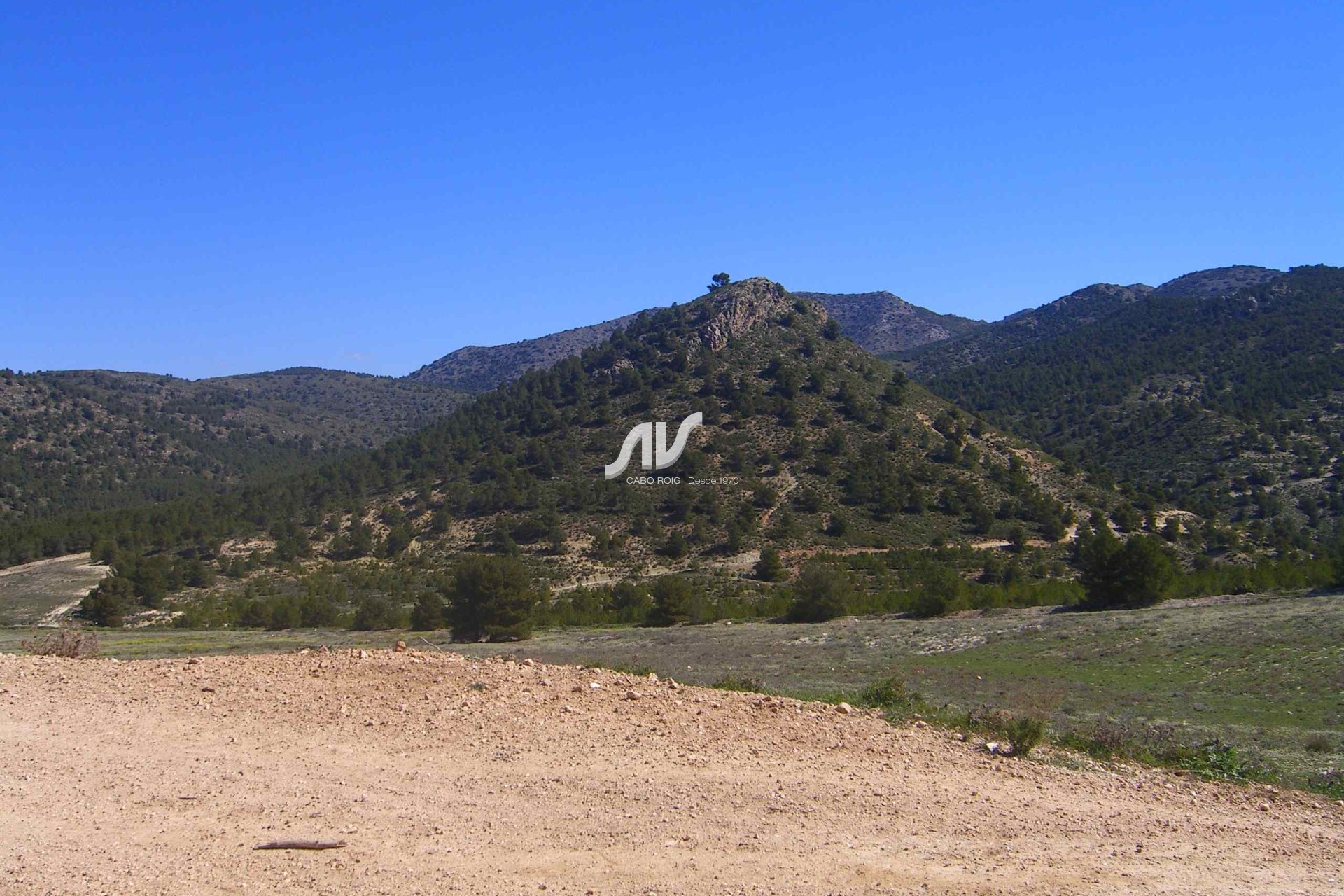 Til Salgs - Finca - Lorca - La Paca - Zarzadilla