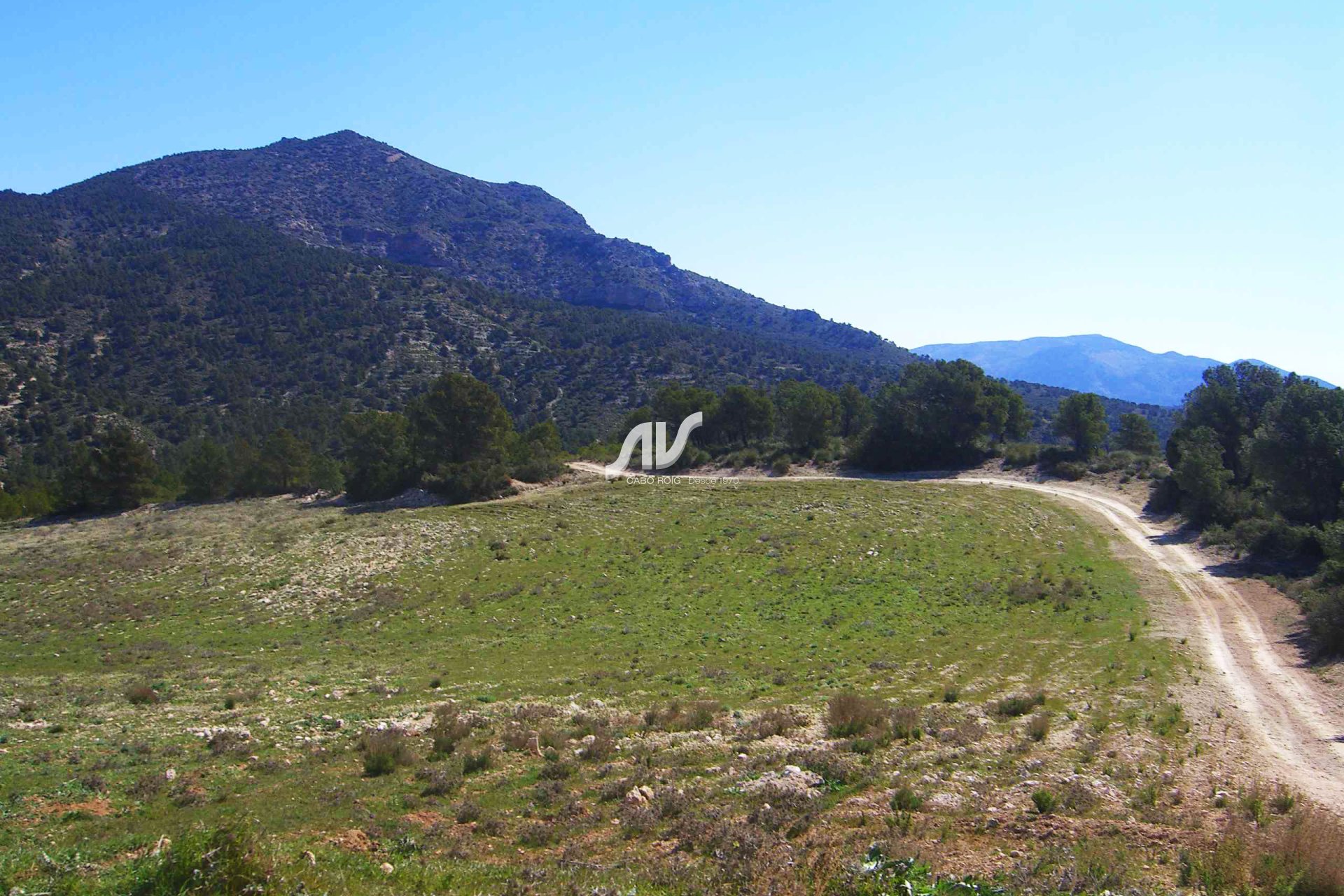 Til Salgs - Finca - Lorca - La Paca - Zarzadilla