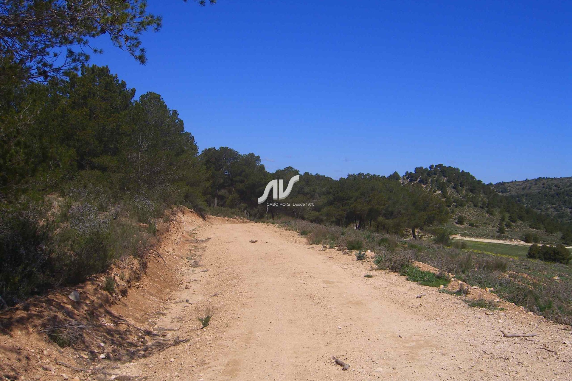 Til Salgs - Finca - Lorca - La Paca - Zarzadilla