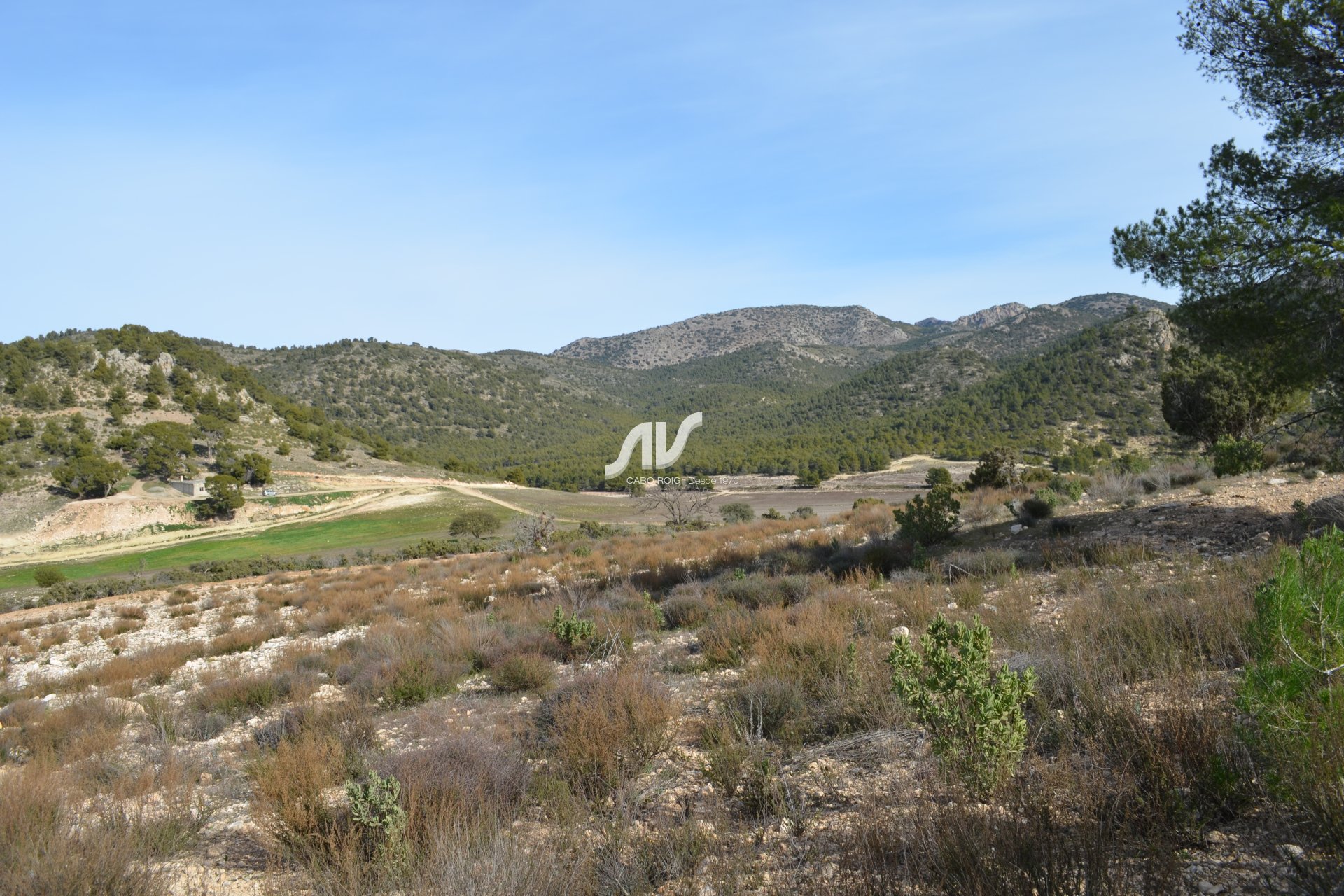 Til Salgs - Finca - Lorca - La Paca - Zarzadilla