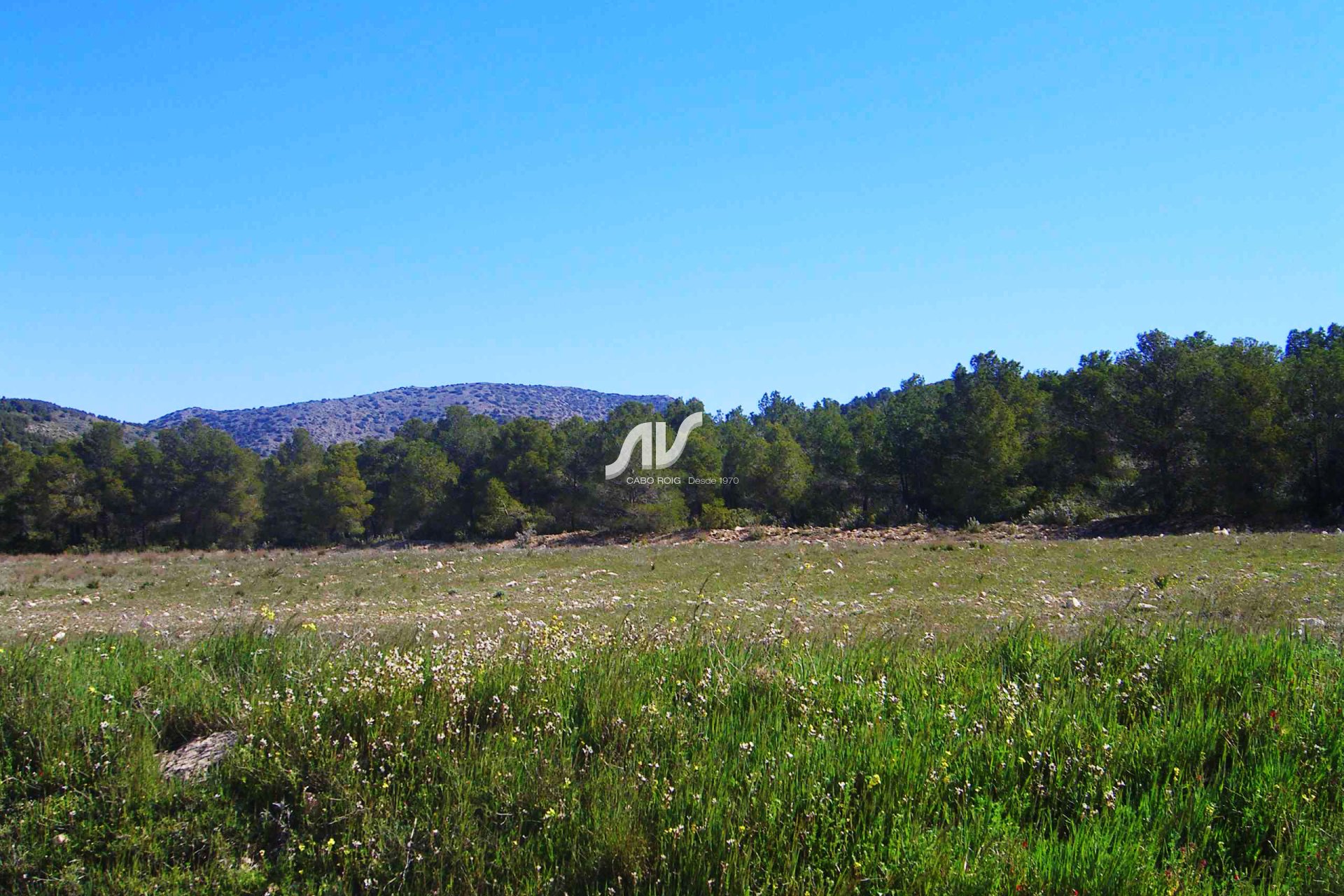 Til Salgs - Finca - Lorca - La Paca - Zarzadilla