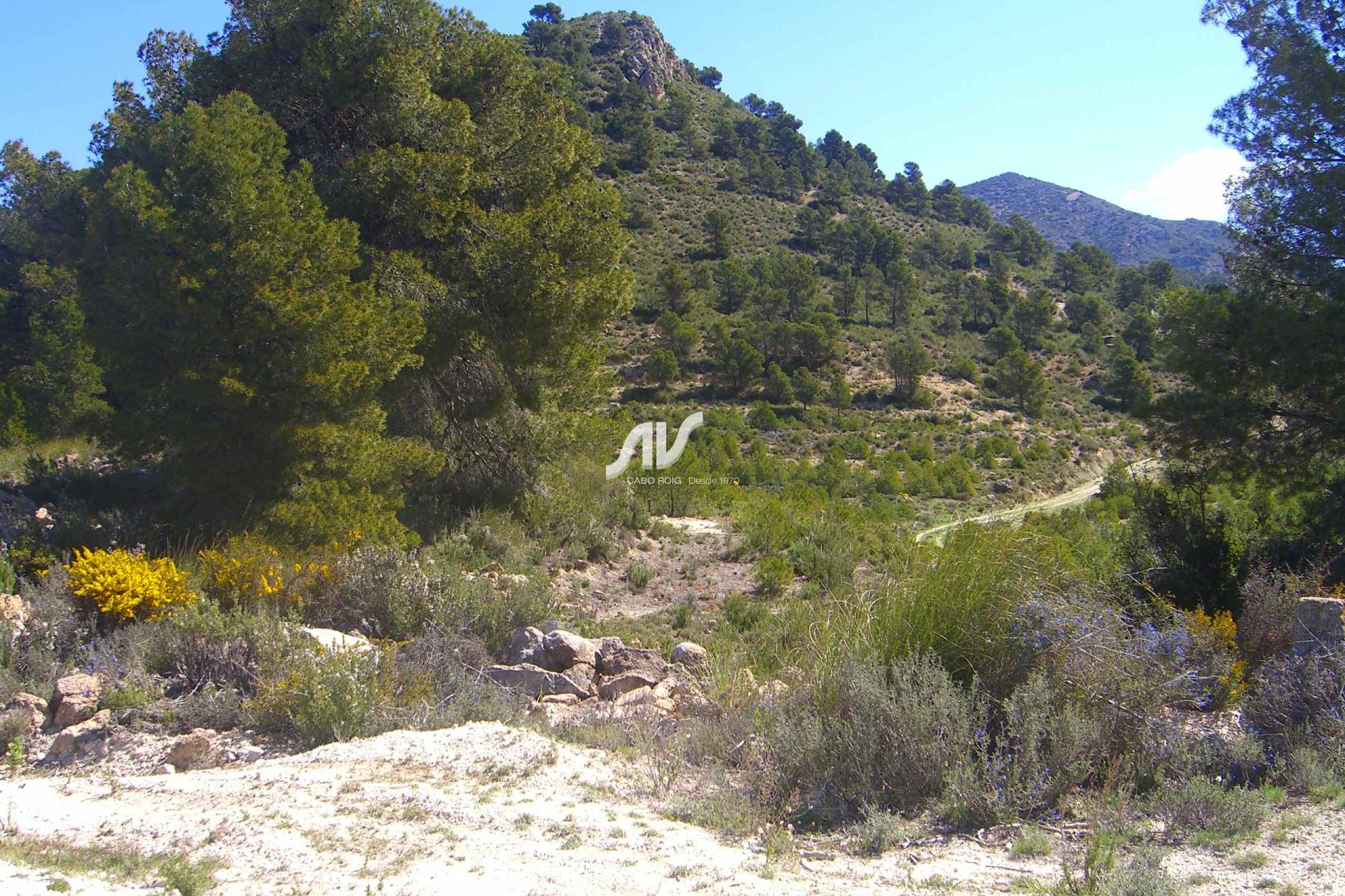 Til Salgs - Finca - Lorca - La Paca - Zarzadilla