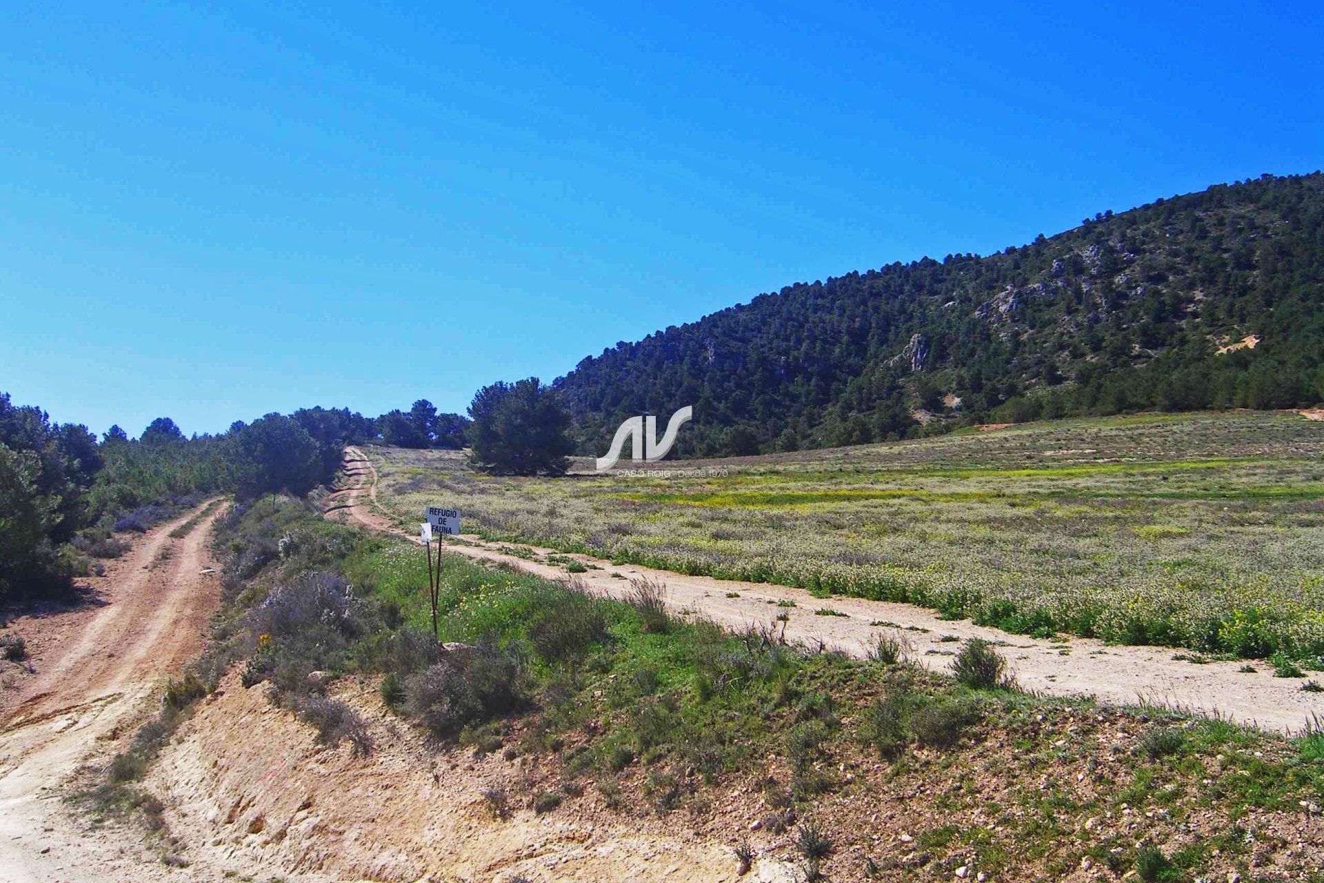 Til Salgs - Finca - Lorca - La Paca - Zarzadilla