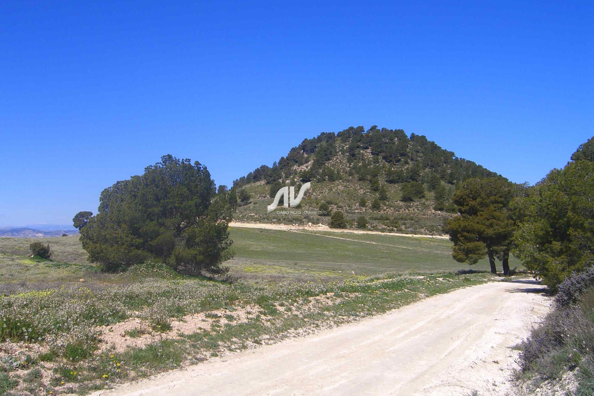 Til Salgs - Finca - Lorca - La Paca - Zarzadilla
