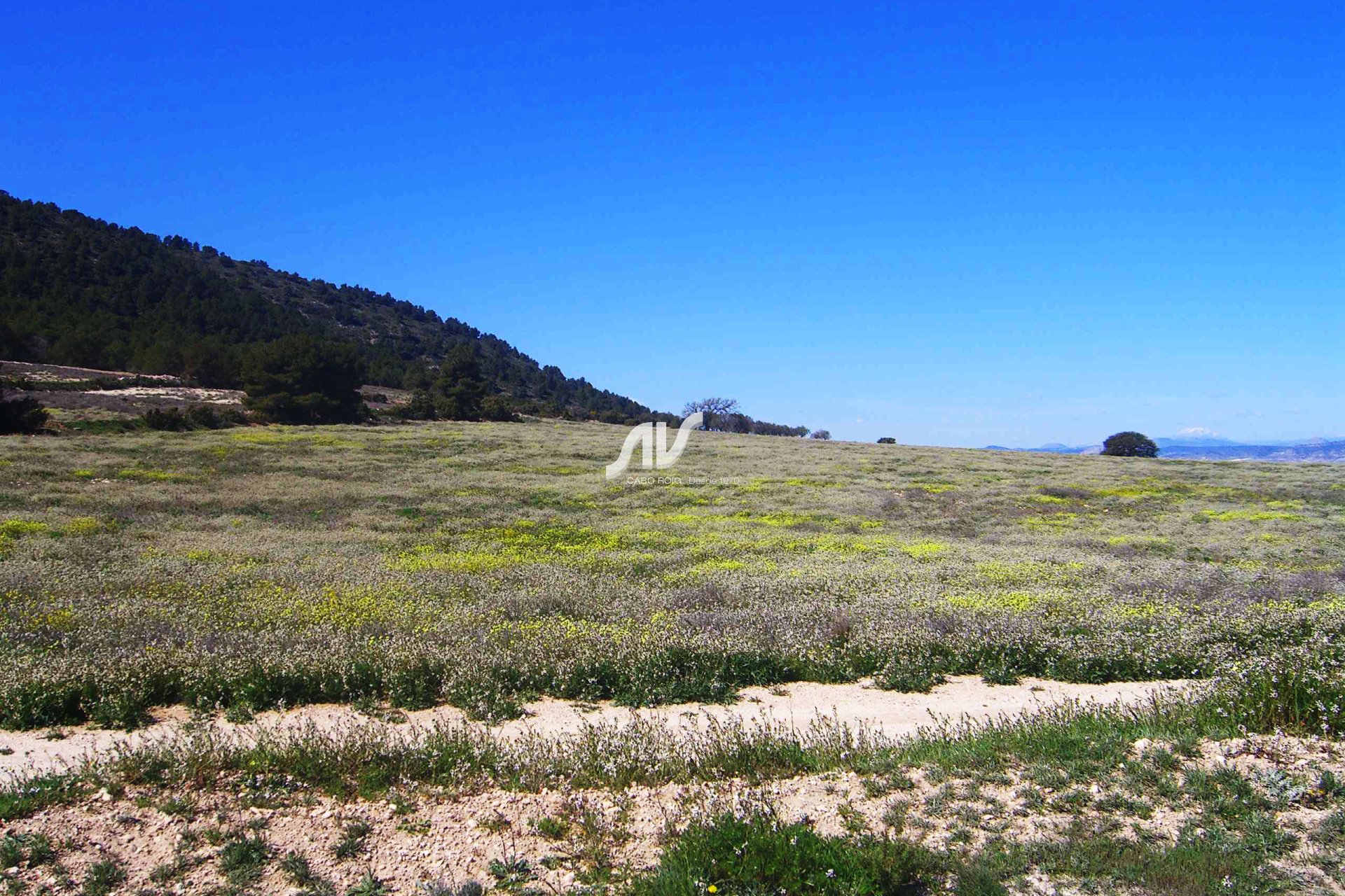 Til Salgs - Finca - Lorca - La Paca - Zarzadilla