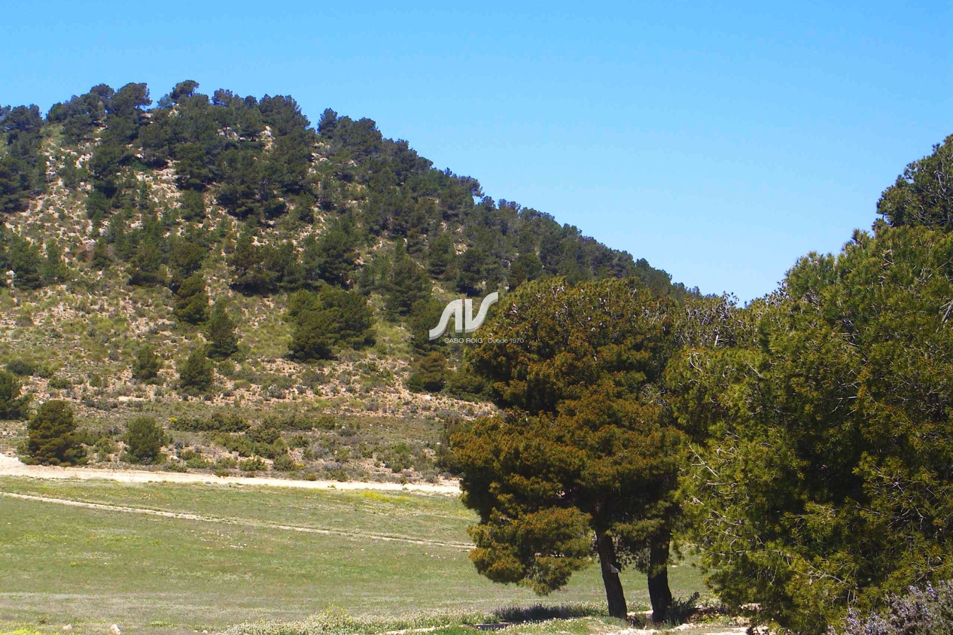 Til Salgs - Finca - Lorca - La Paca - Zarzadilla