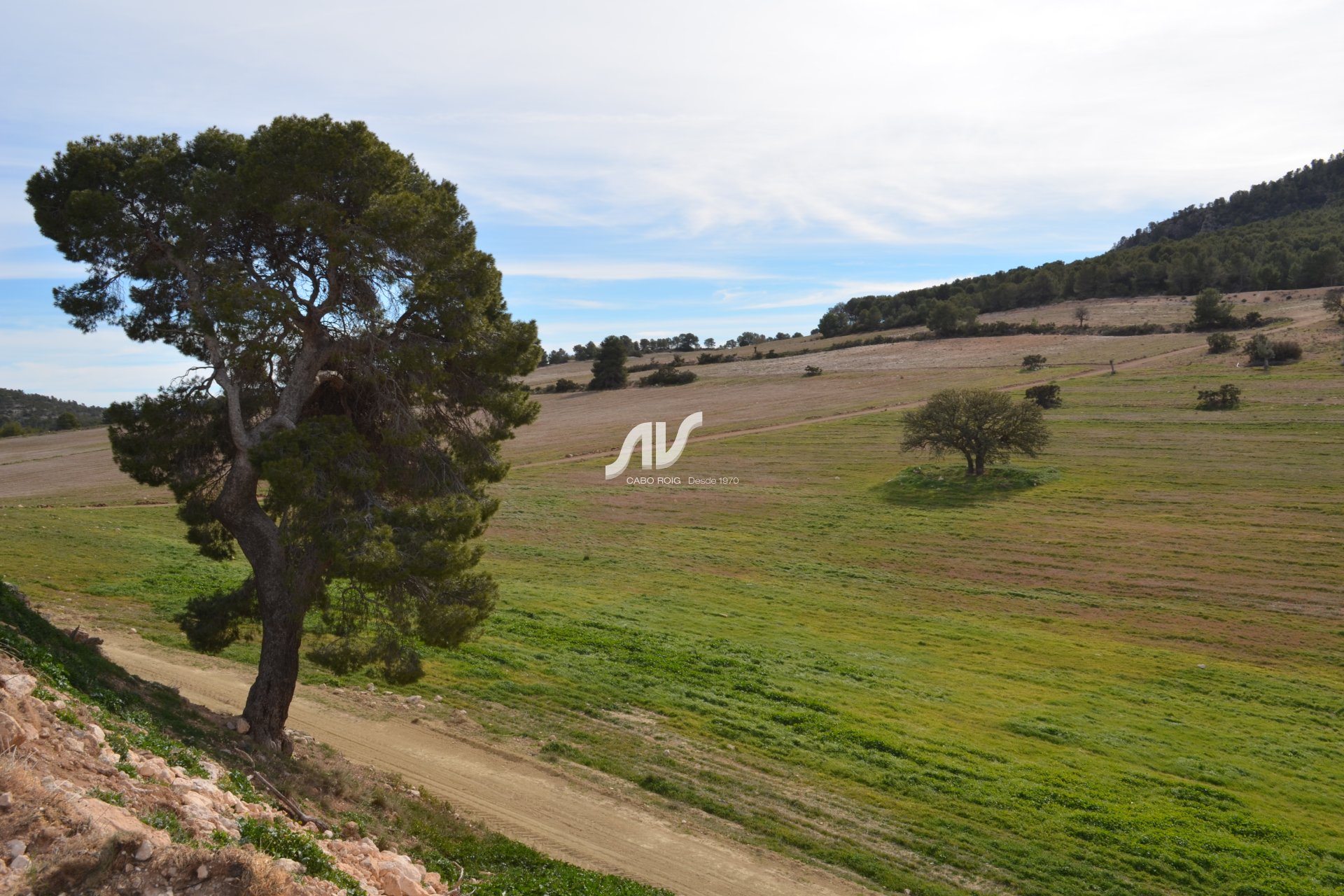 Til Salgs - Finca - Lorca - La Paca - Zarzadilla