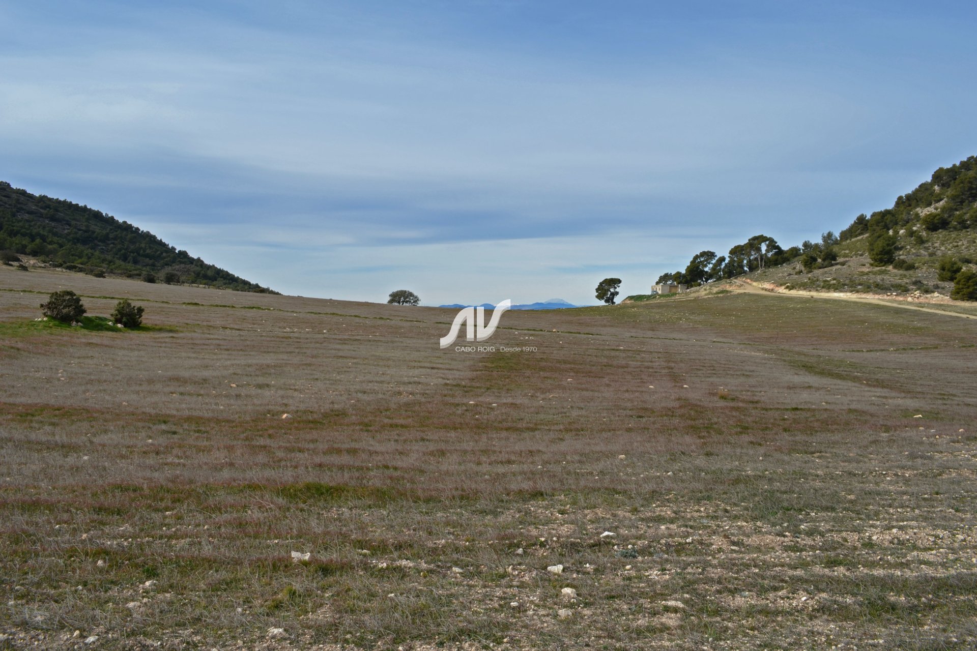 Til Salgs - Finca - Lorca - La Paca - Zarzadilla