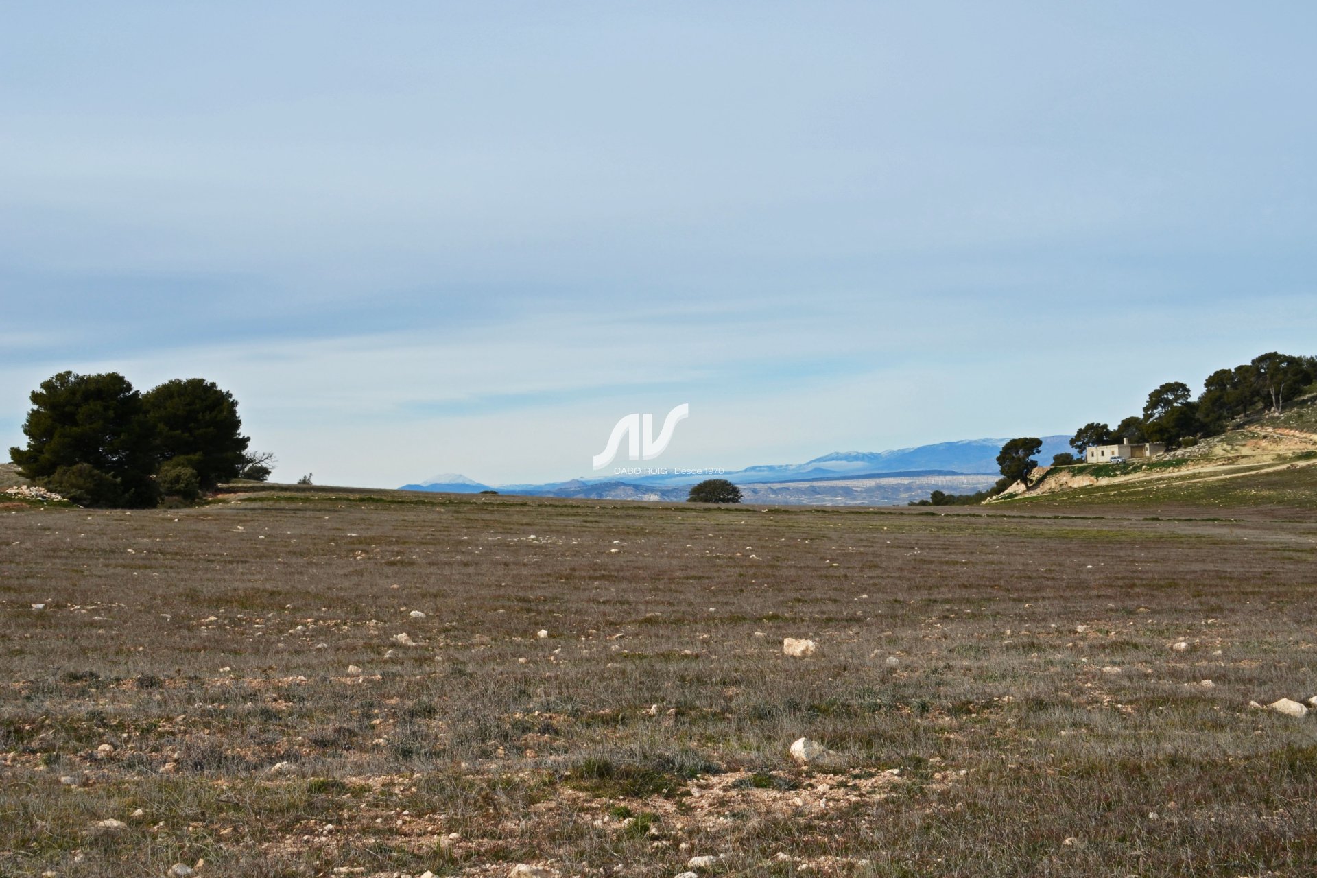 Til Salgs - Finca - Lorca - La Paca - Zarzadilla