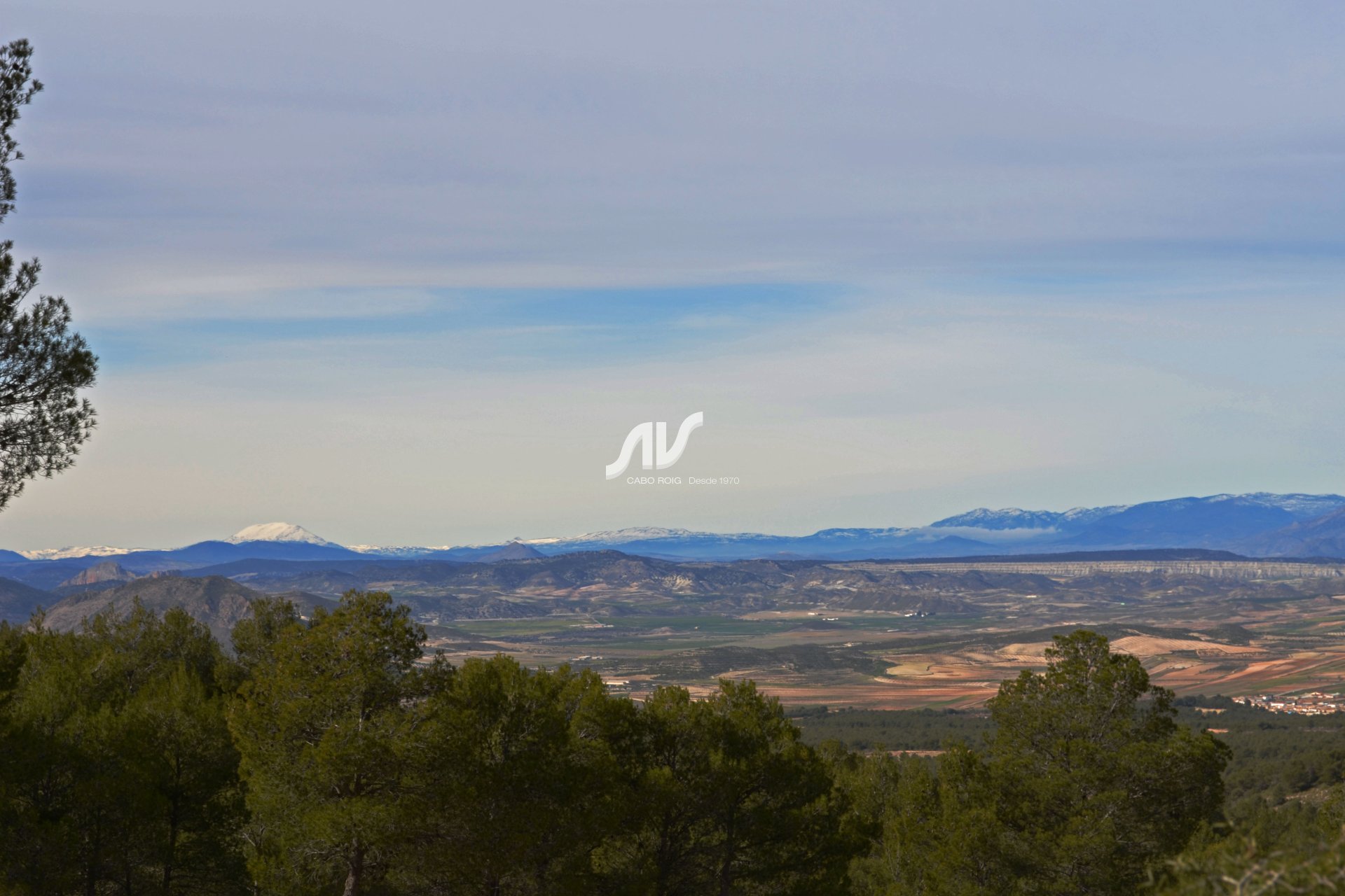 Til Salgs - Finca - Lorca - La Paca - Zarzadilla