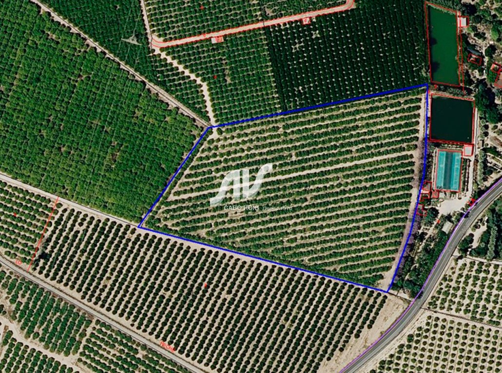 Til Salgs - Finca - Los Montesinos