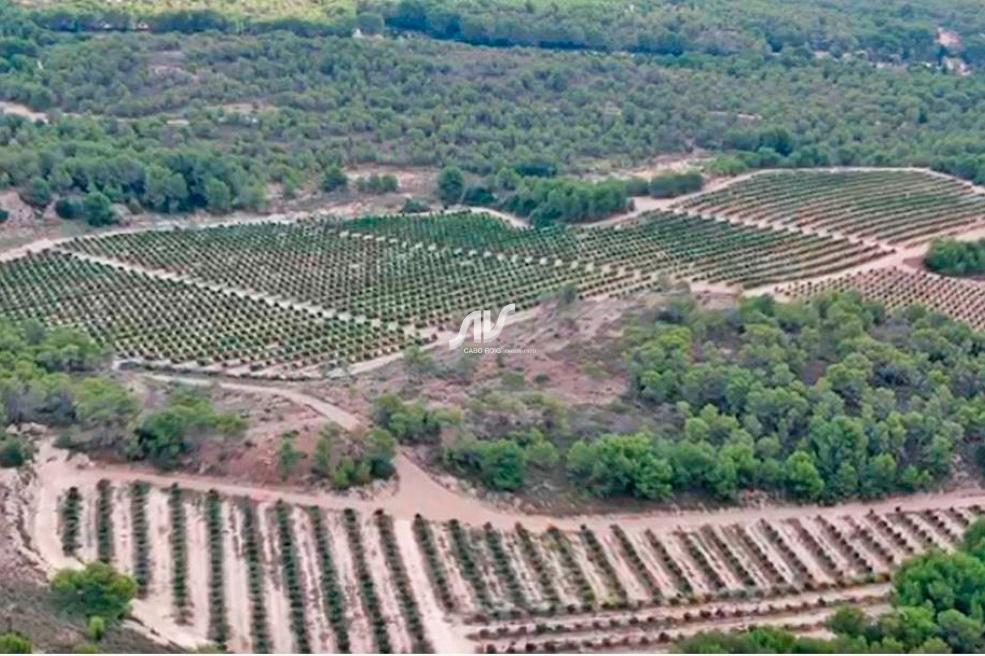 Til Salgs - Finca - San Miguel de Salinas - Las Colinas Golf