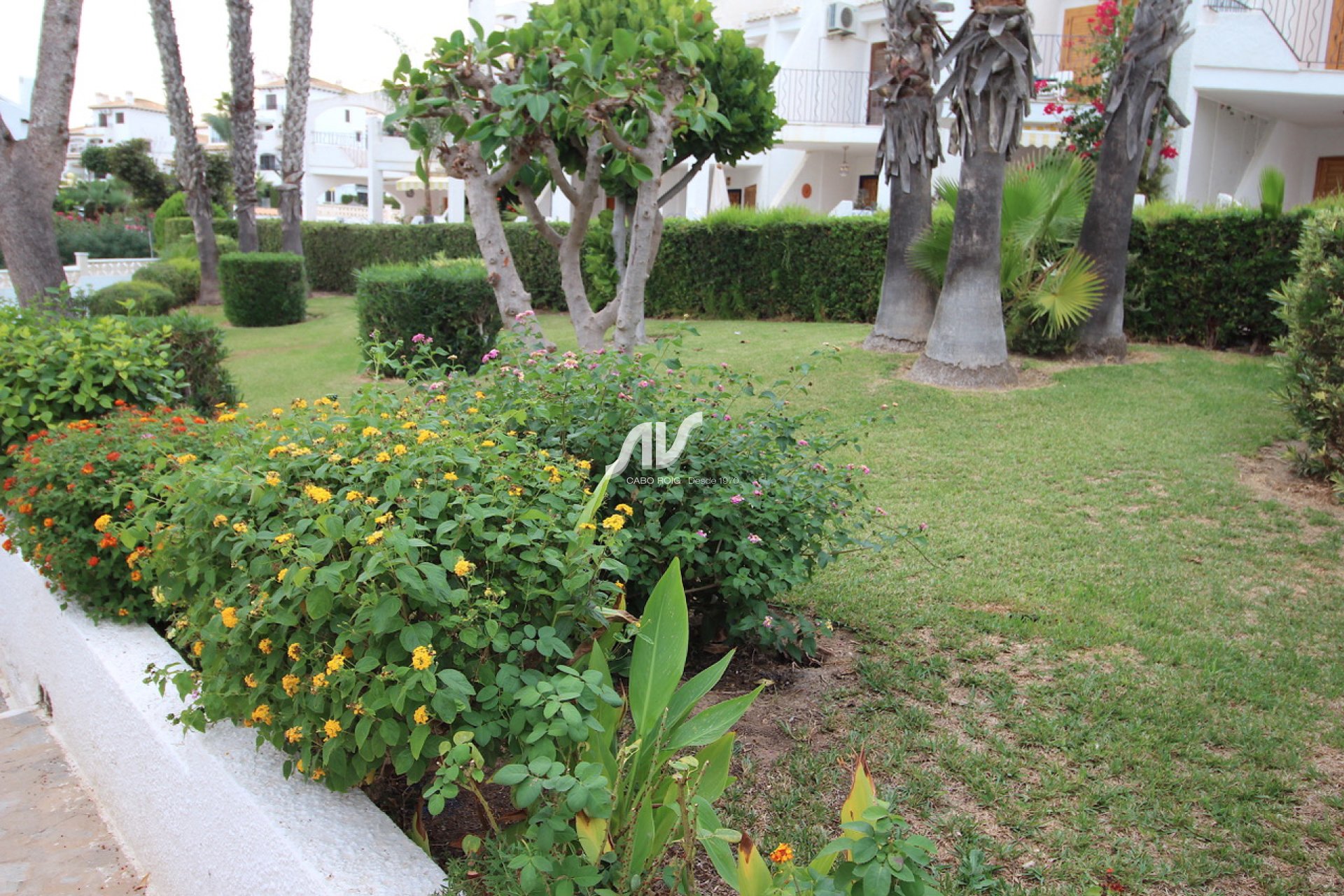 Til Salgs -  - Orihuela Costa - Cabo Roig