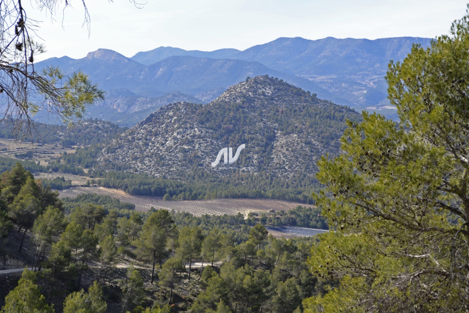 Weiterverkauf - Finca - Murcia - Sierra Espuña