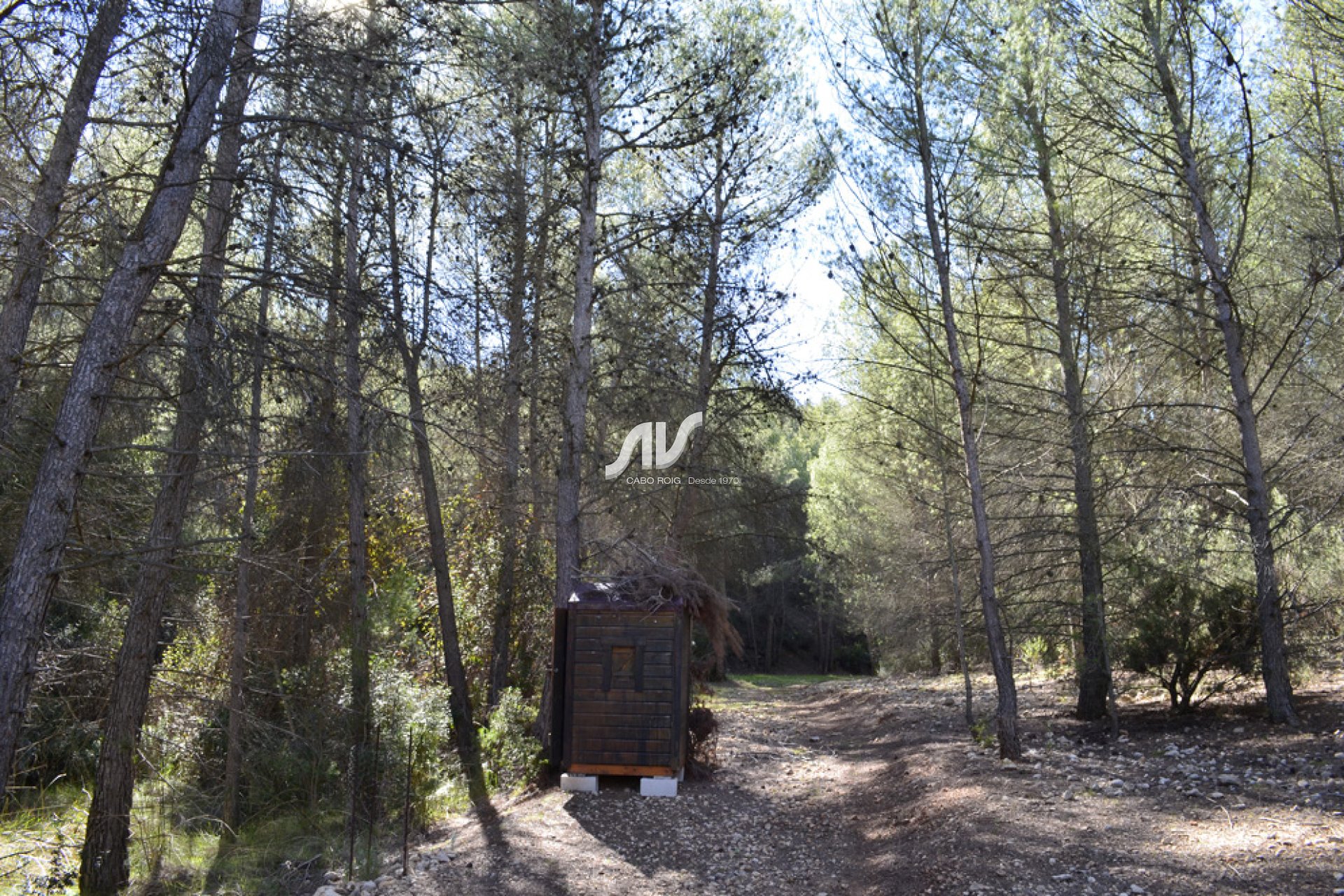 Weiterverkauf - Finca - Murcia - Sierra Espuña