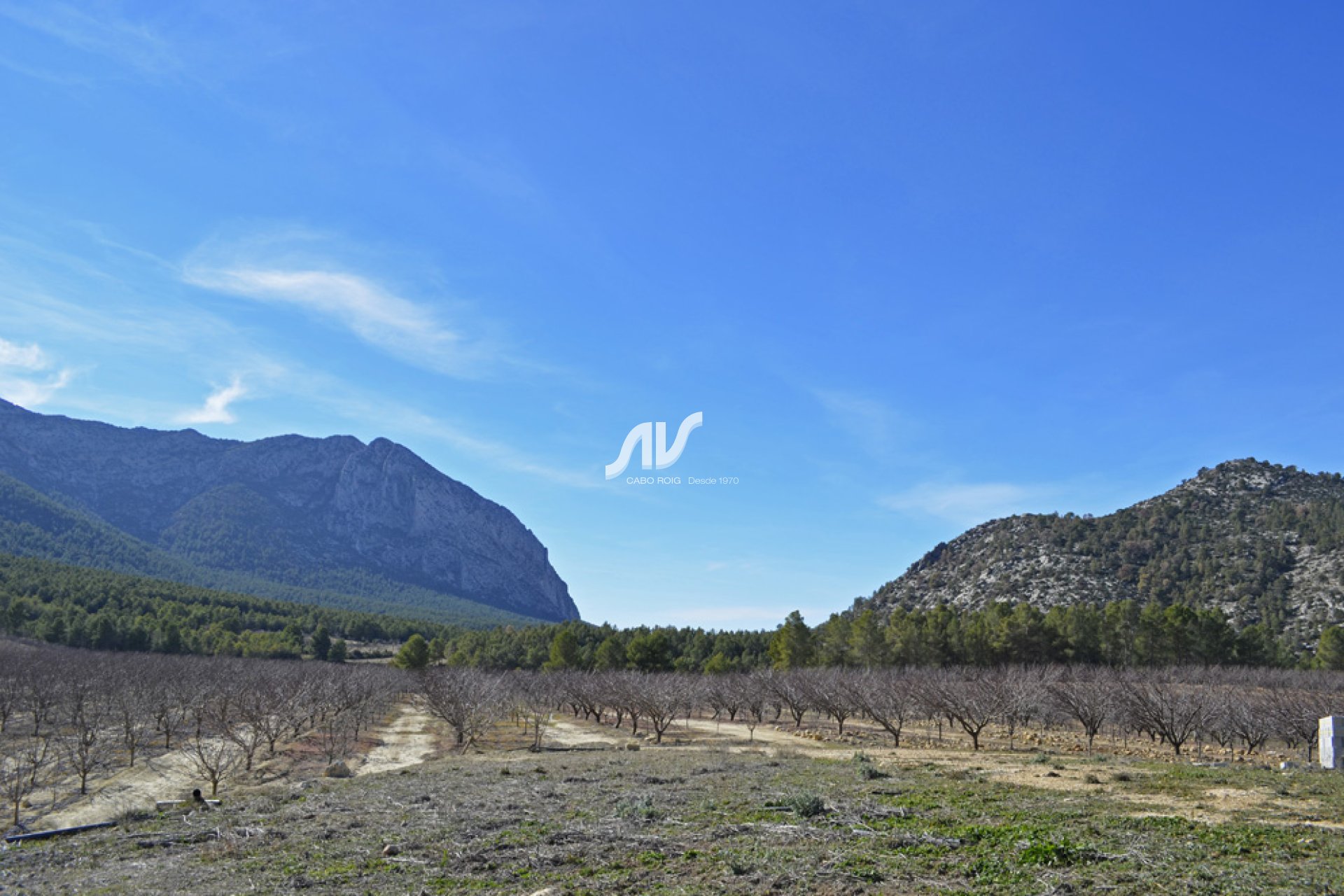 Weiterverkauf - Finca - Murcia - Sierra Espuña