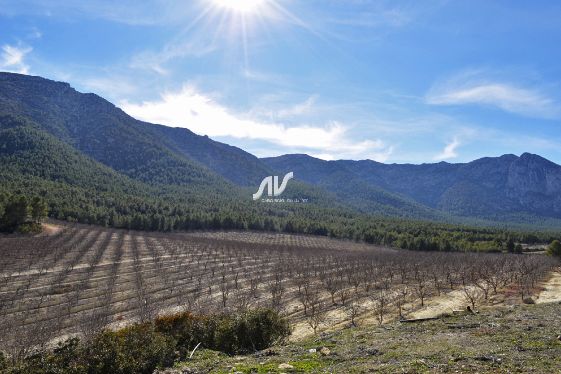 Weiterverkauf - Finca - Murcia - Sierra Espuña