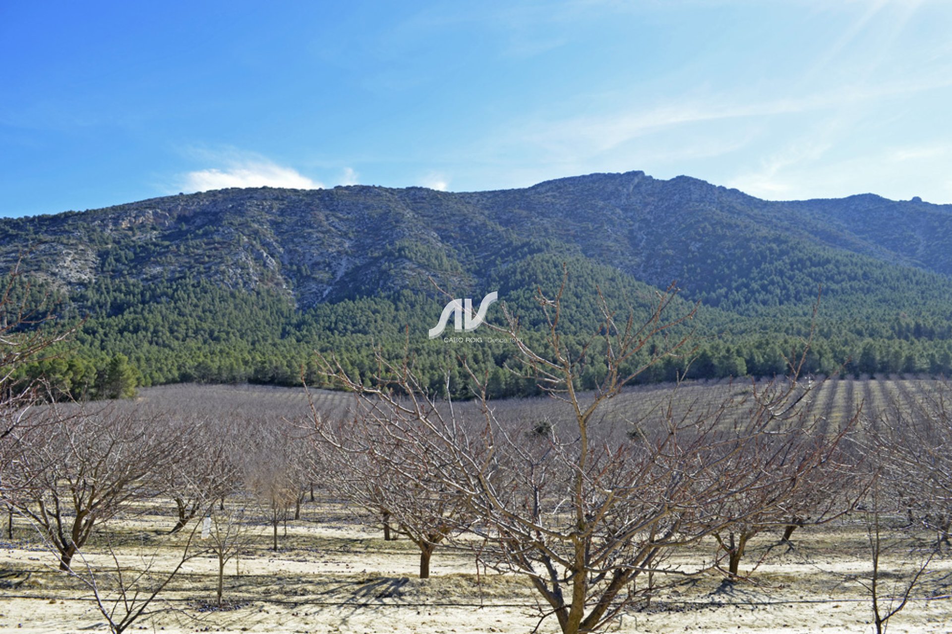 Weiterverkauf - Finca - Murcia - Sierra Espuña