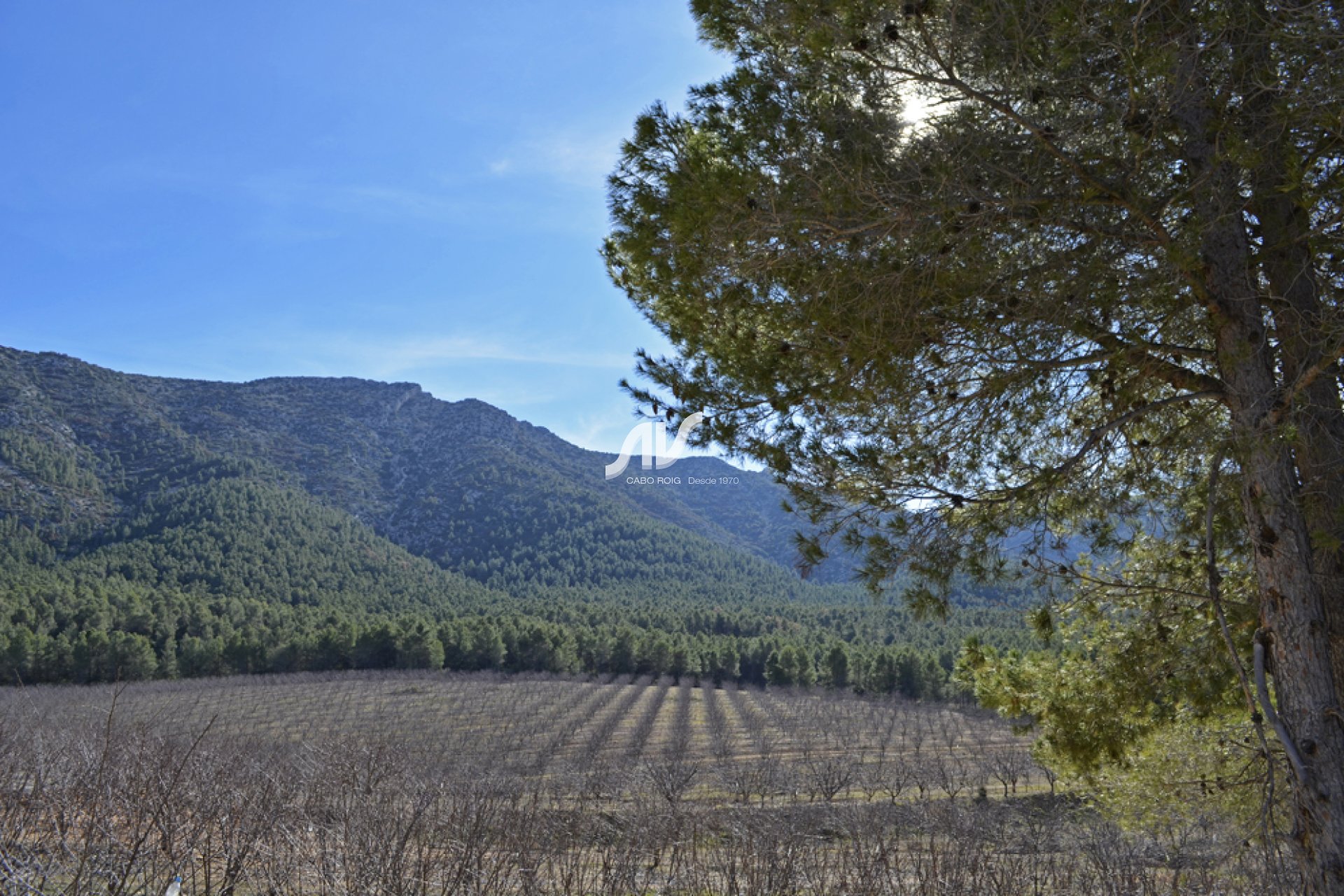 Weiterverkauf - Finca - Murcia - Sierra Espuña