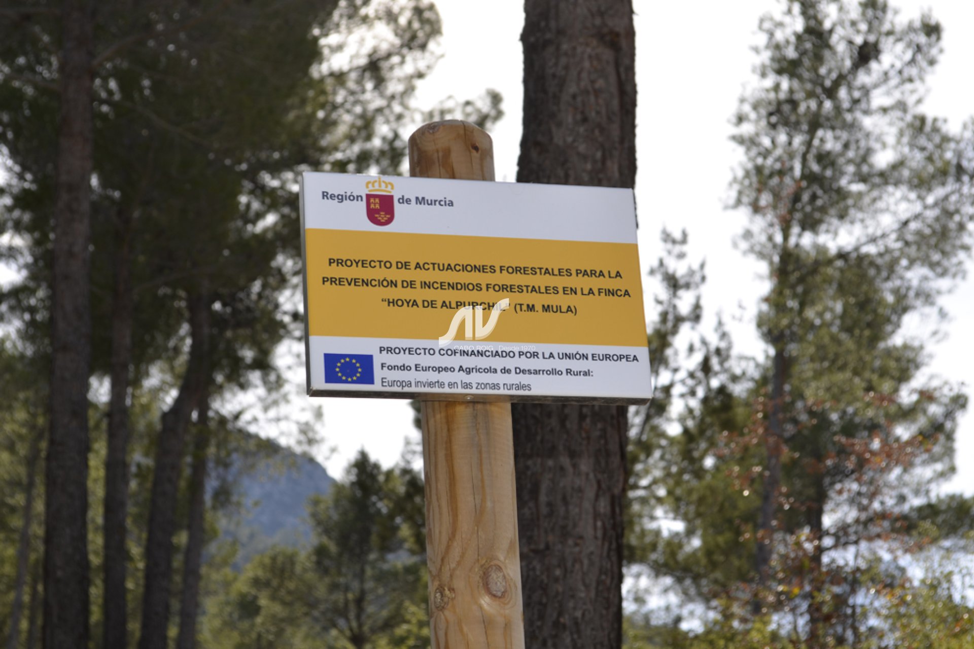 Weiterverkauf - Finca - Murcia - Sierra Espuña