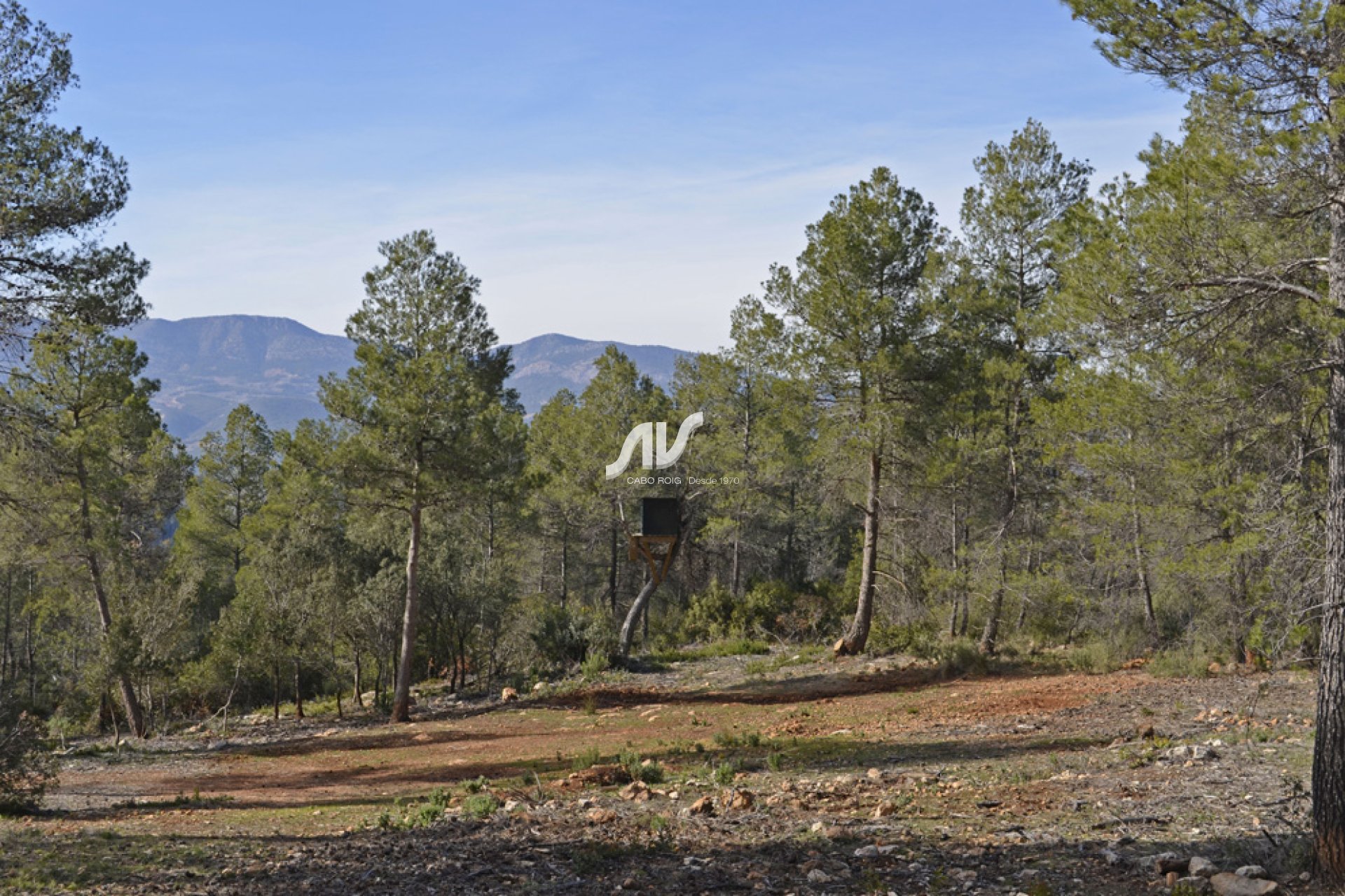 Weiterverkauf - Finca - Murcia - Sierra Espuña