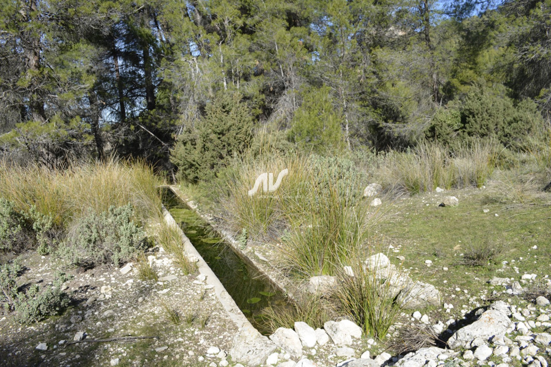 Weiterverkauf - Finca - Murcia - Sierra Espuña