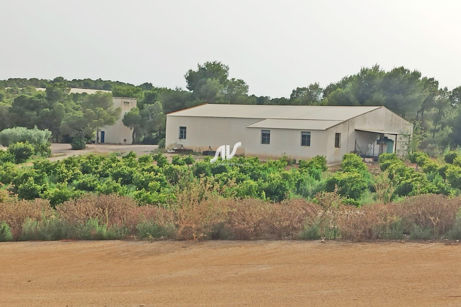 Weiterverkauf - Finca - San Miguel de Salinas - Las Colinas Golf