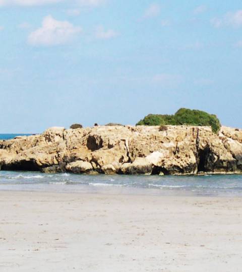 Cabo Roig